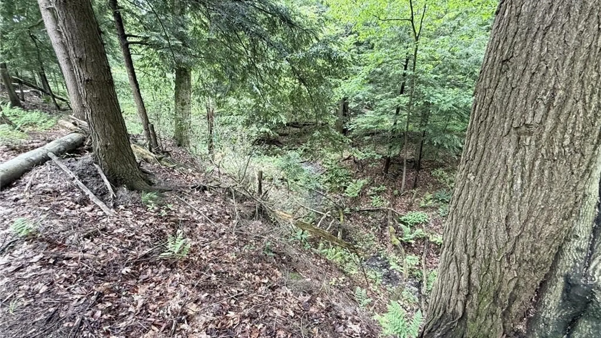 Property at 0 Luce Road, Ellery, NY 14712 24