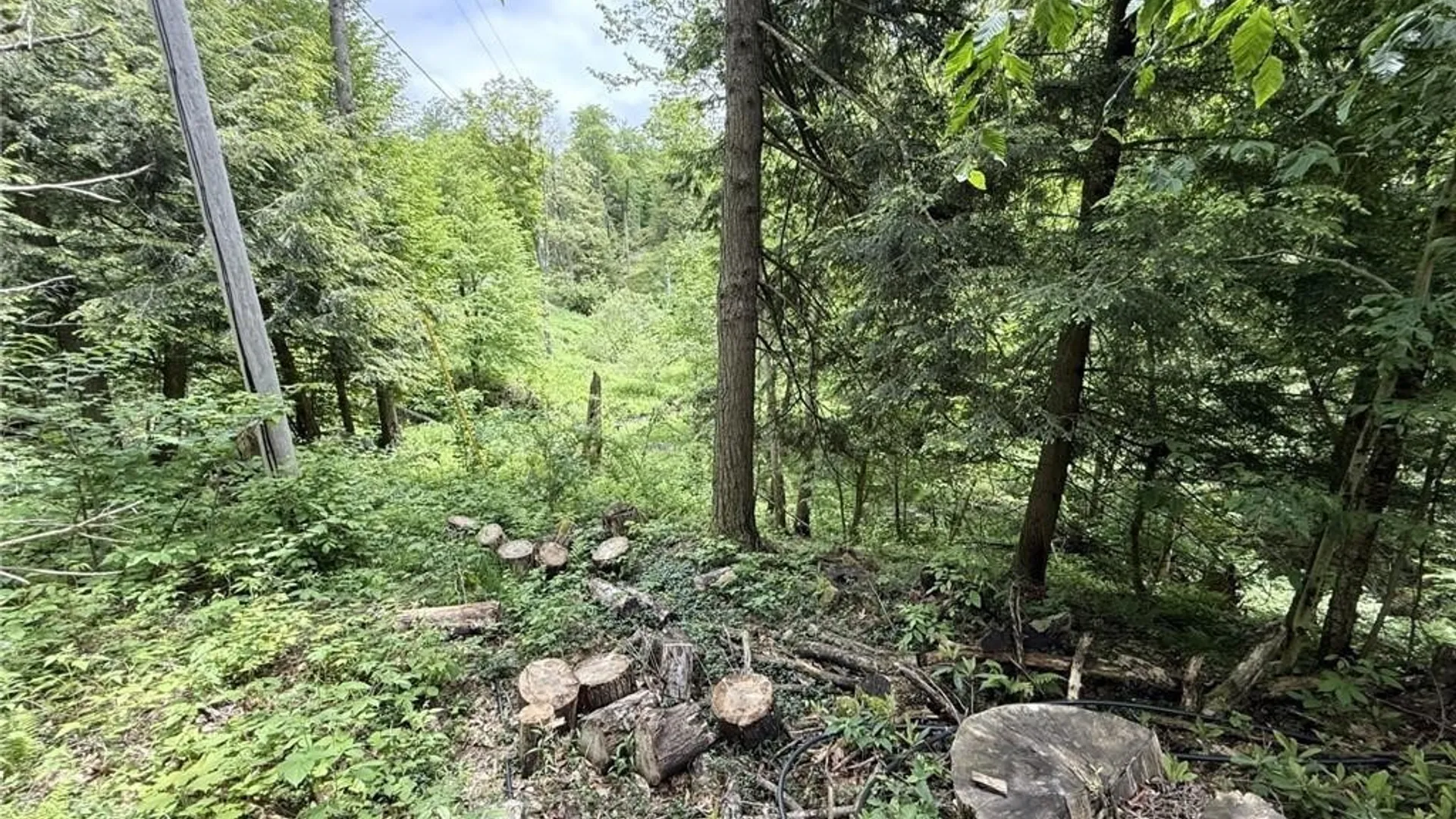 Property at 0 Luce Road, Ellery, NY 14712 26