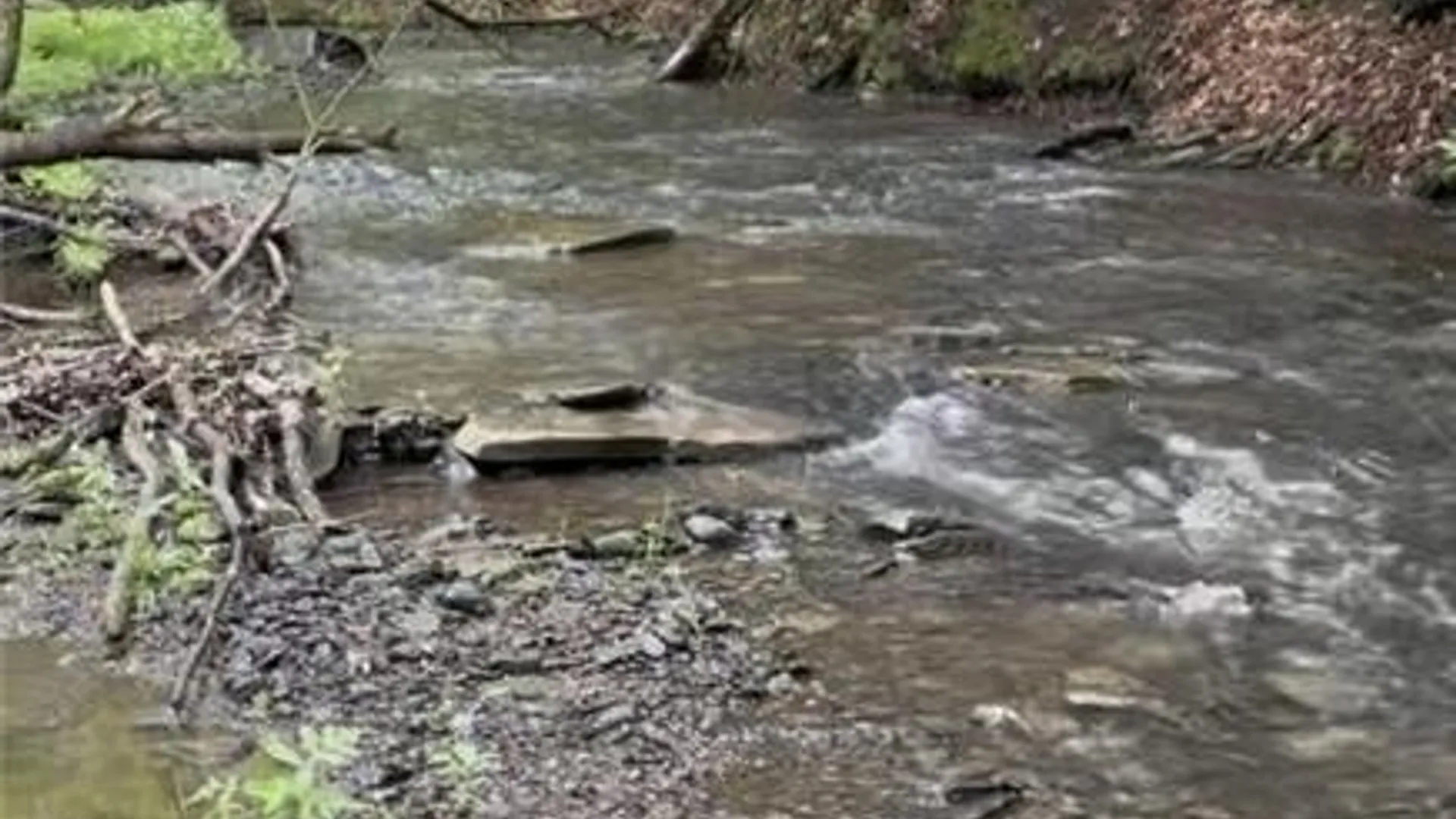 Property at 0 Luce Road, Ellery, NY 14712 29