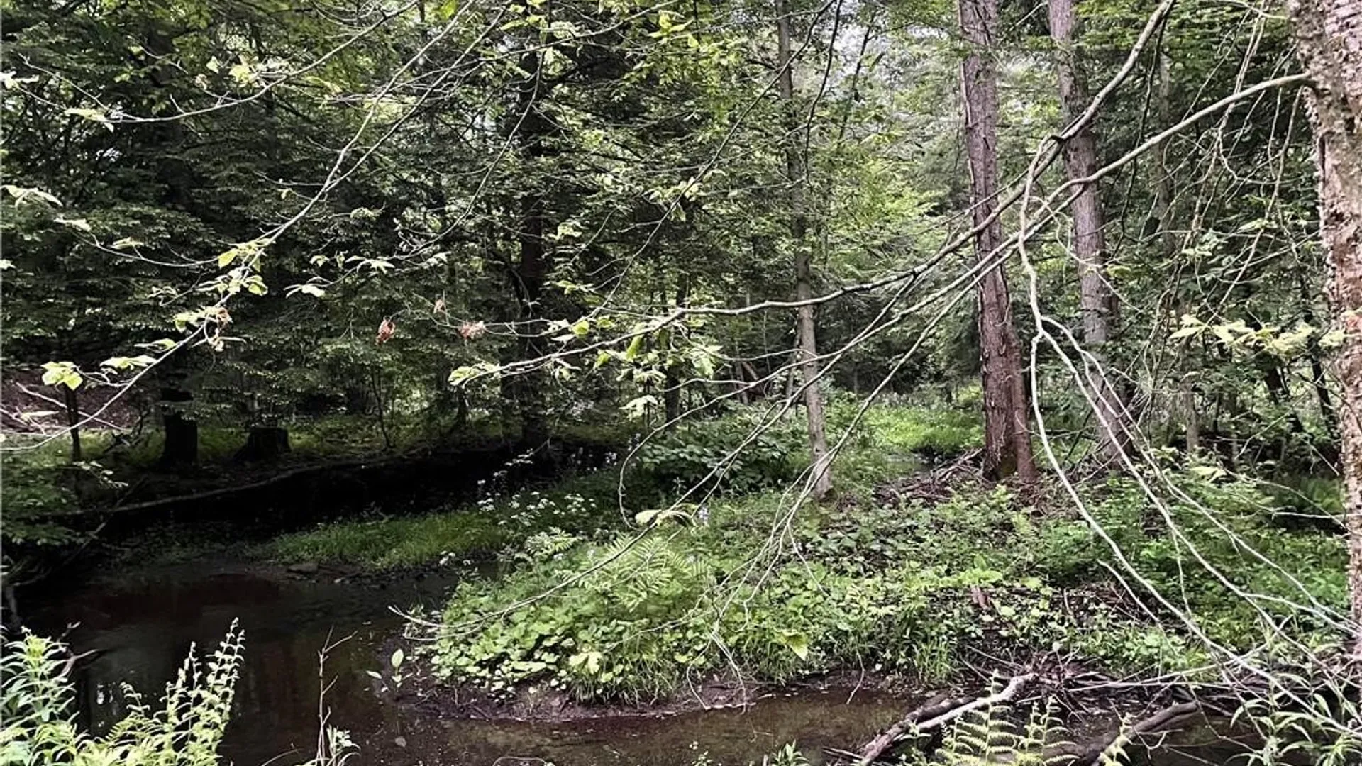 Property at 0 Luce Road, Ellery, NY 14712 37