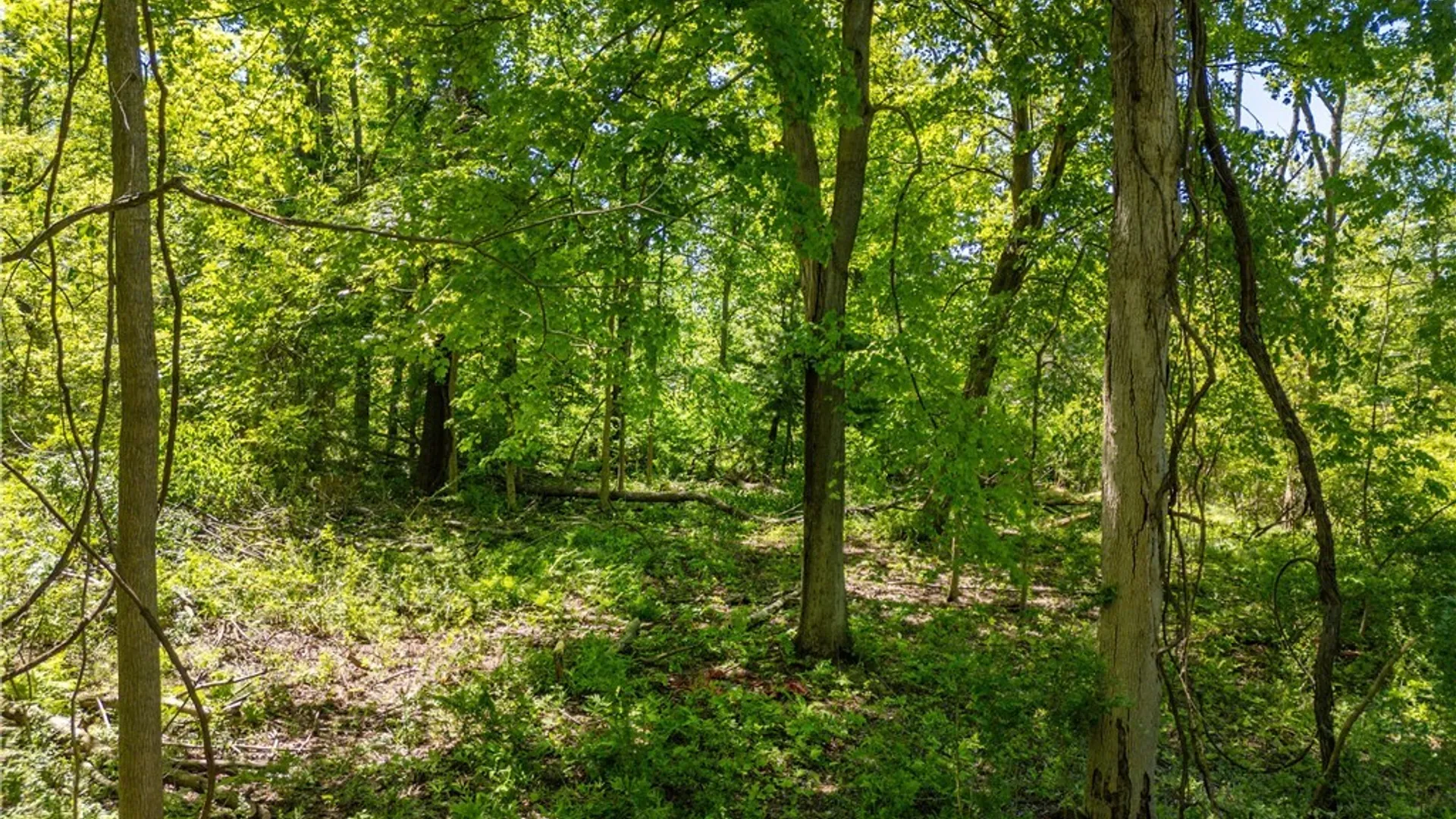 Property at V/L N Freeman Road, Orchard Park, NY 14127 11