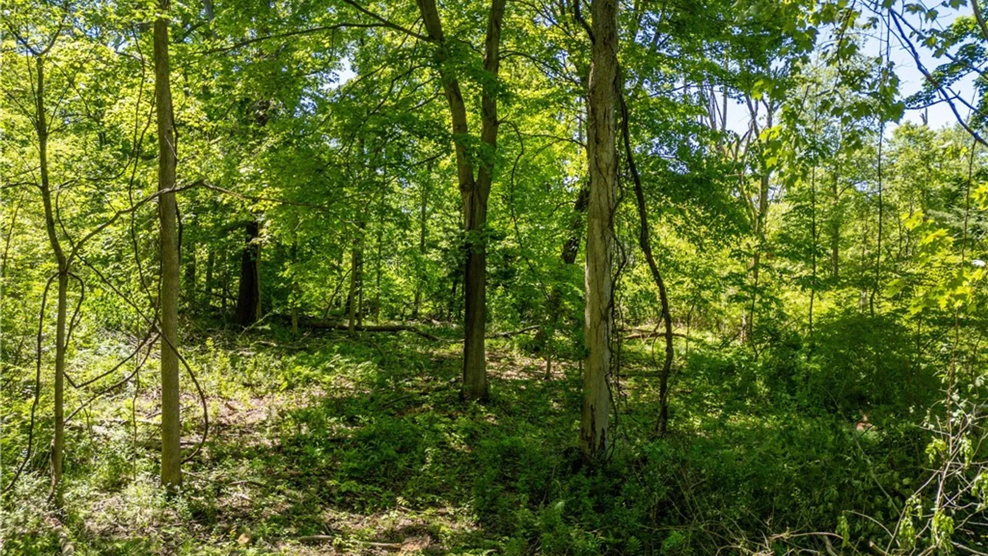 Property at V/L N Freeman Road, Orchard Park, NY 14127 9