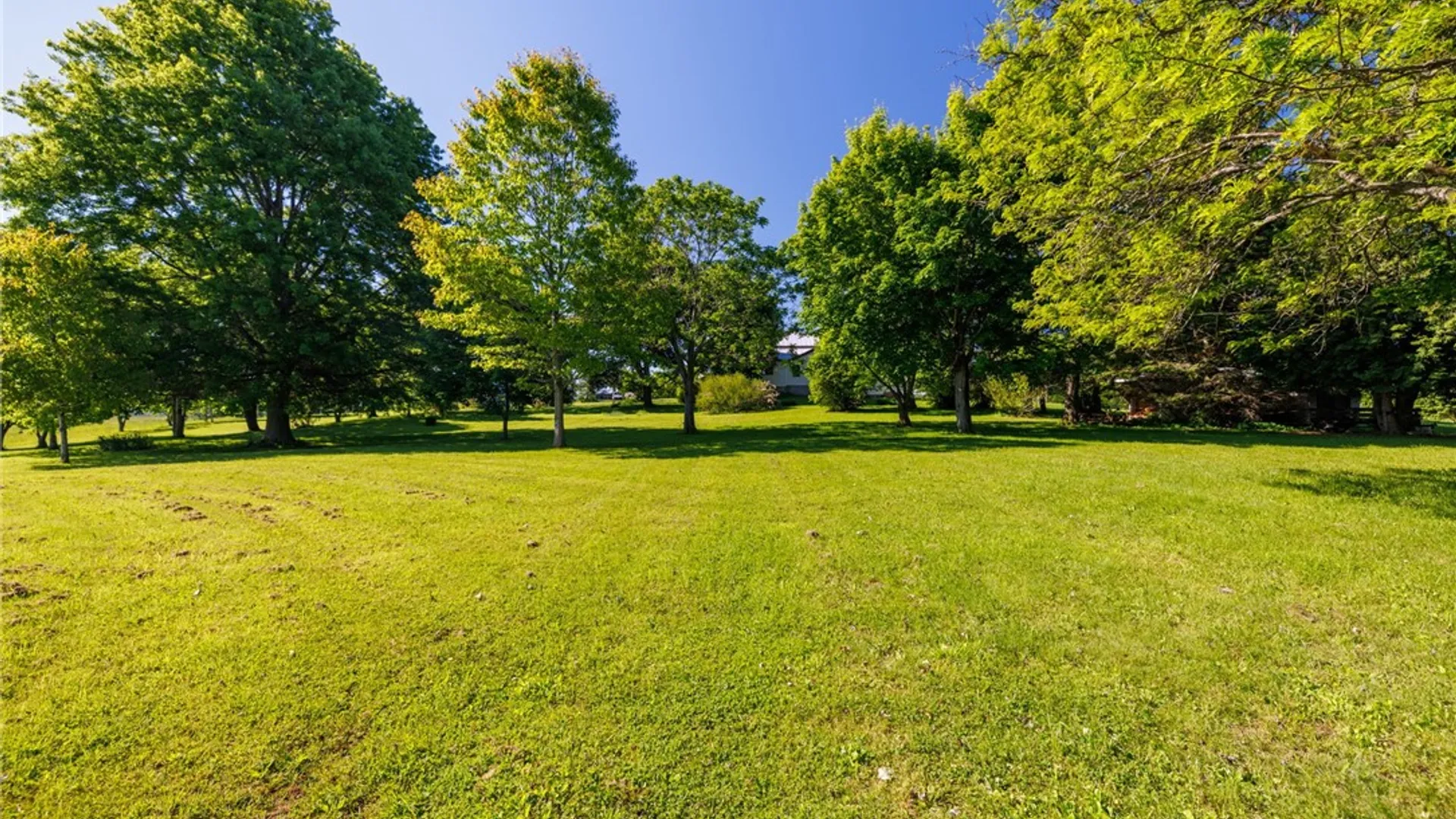 Property at 14081 Cramer Road, Wolcott, NY 13143 14