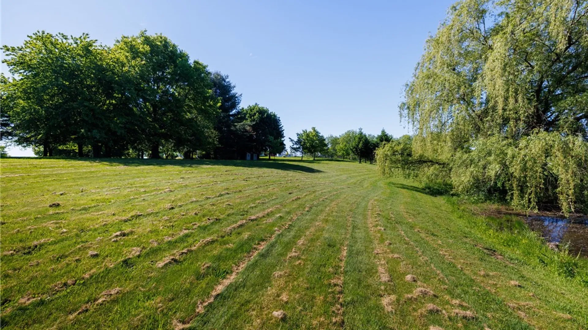 Property at 14081 Cramer Road, Wolcott, NY 13143 9
