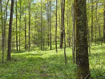 Property at Skaneateles Tpke, Brookfield, NY 13355