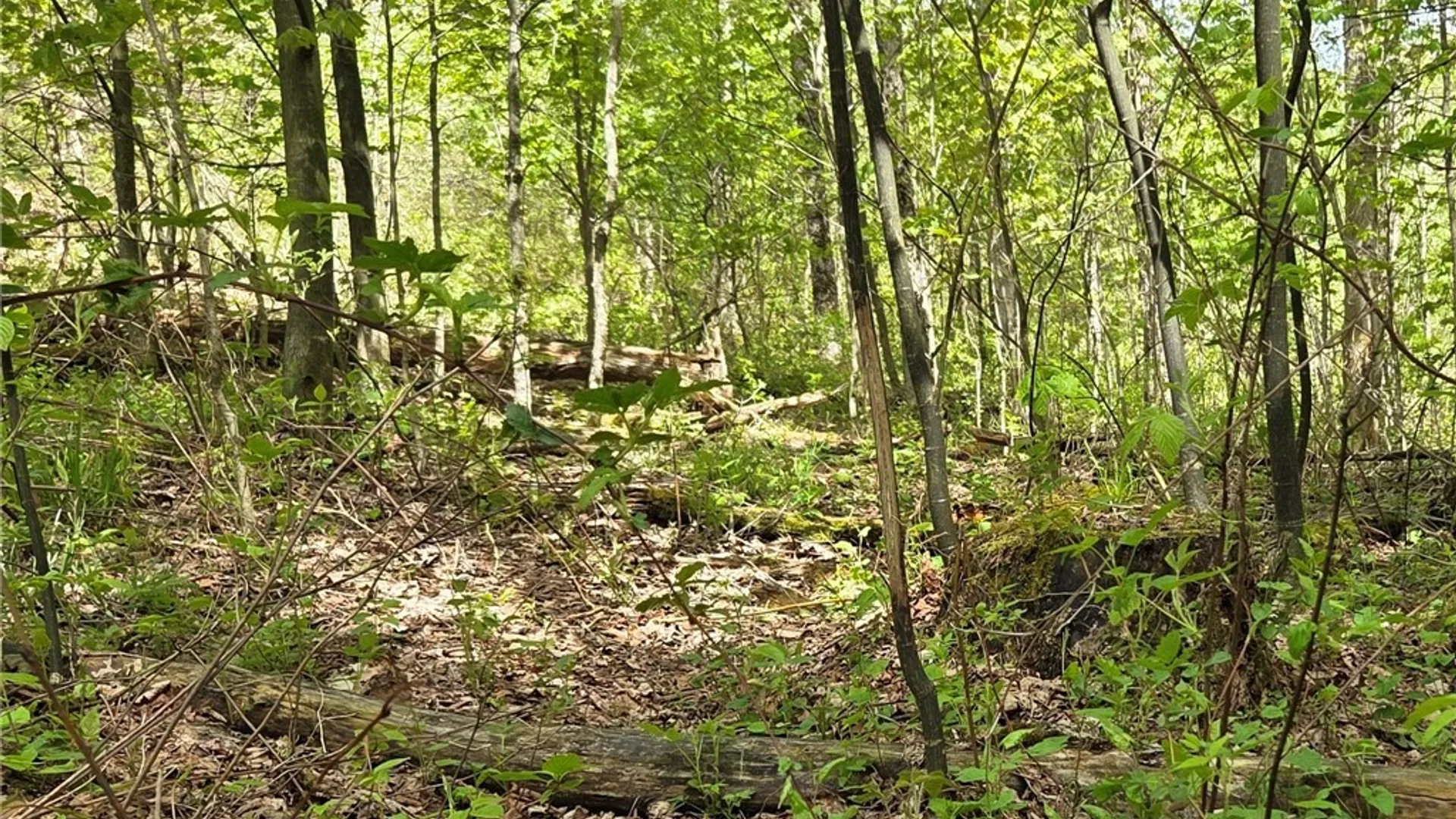 Property at Skaneateles Tpke, Brookfield, NY 13355 48