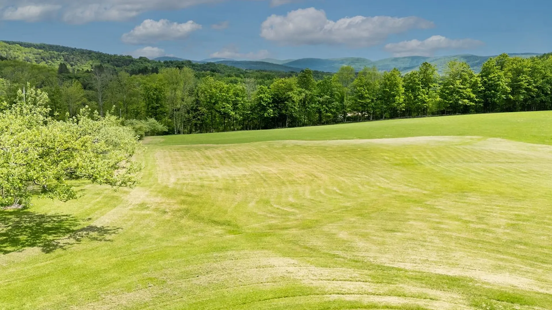 Property at 2607 Lower Dingle Hill, Andes, NY 13731 2