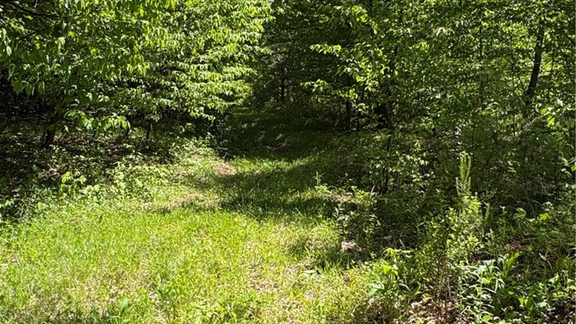 Property at 322 West view Drive, Harpersfield, NY 13788 25