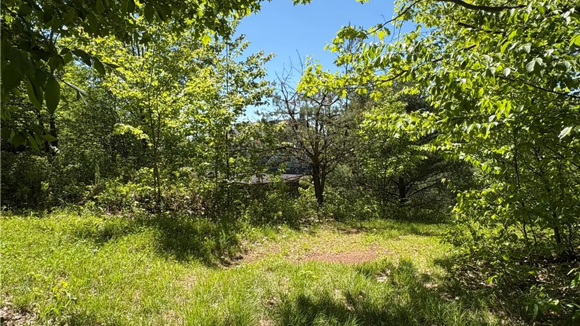 Property at 322 West view Drive, Harpersfield, NY 13788 26