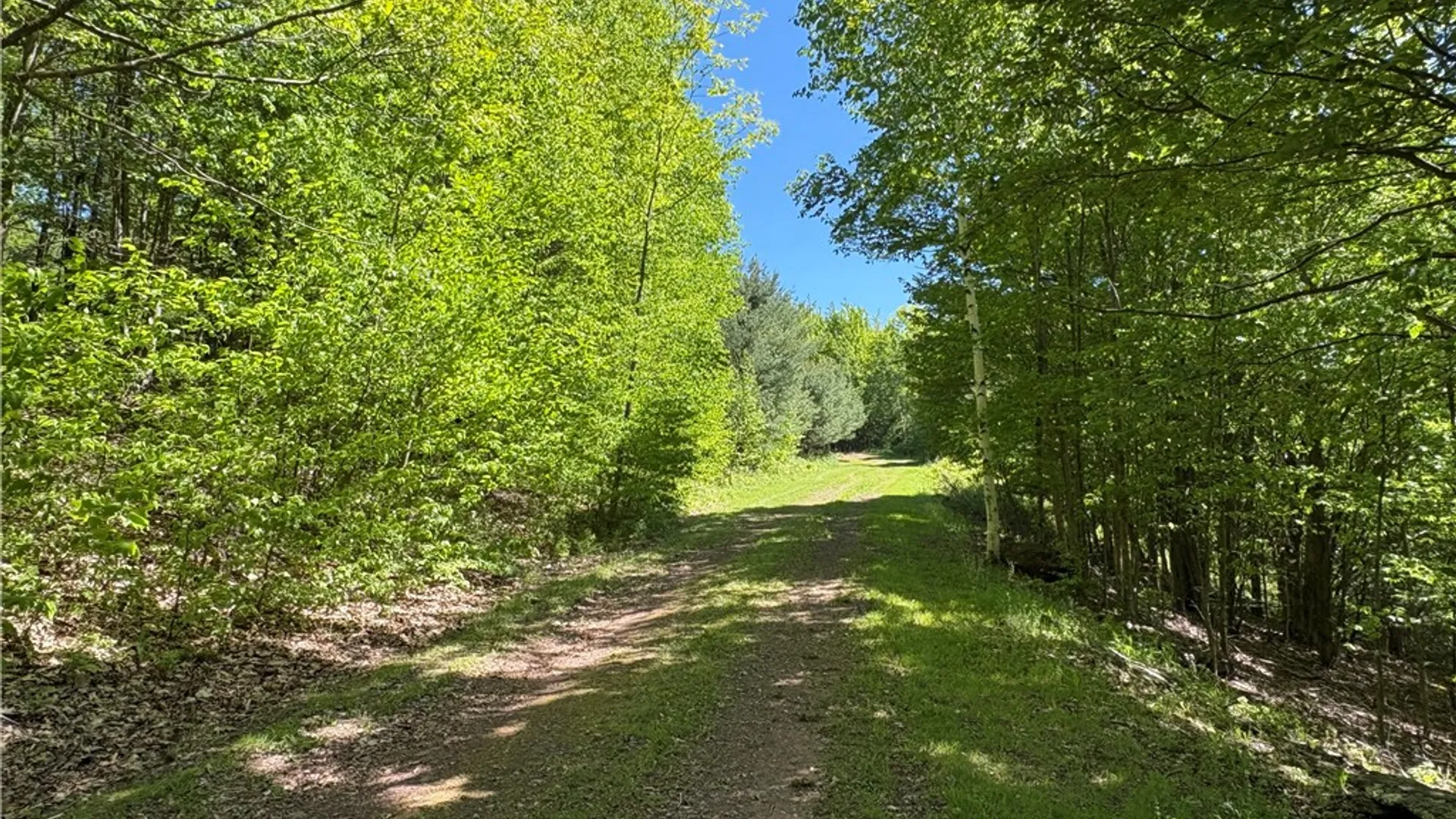 Property at 322 West view Drive, Harpersfield, NY 13788 27