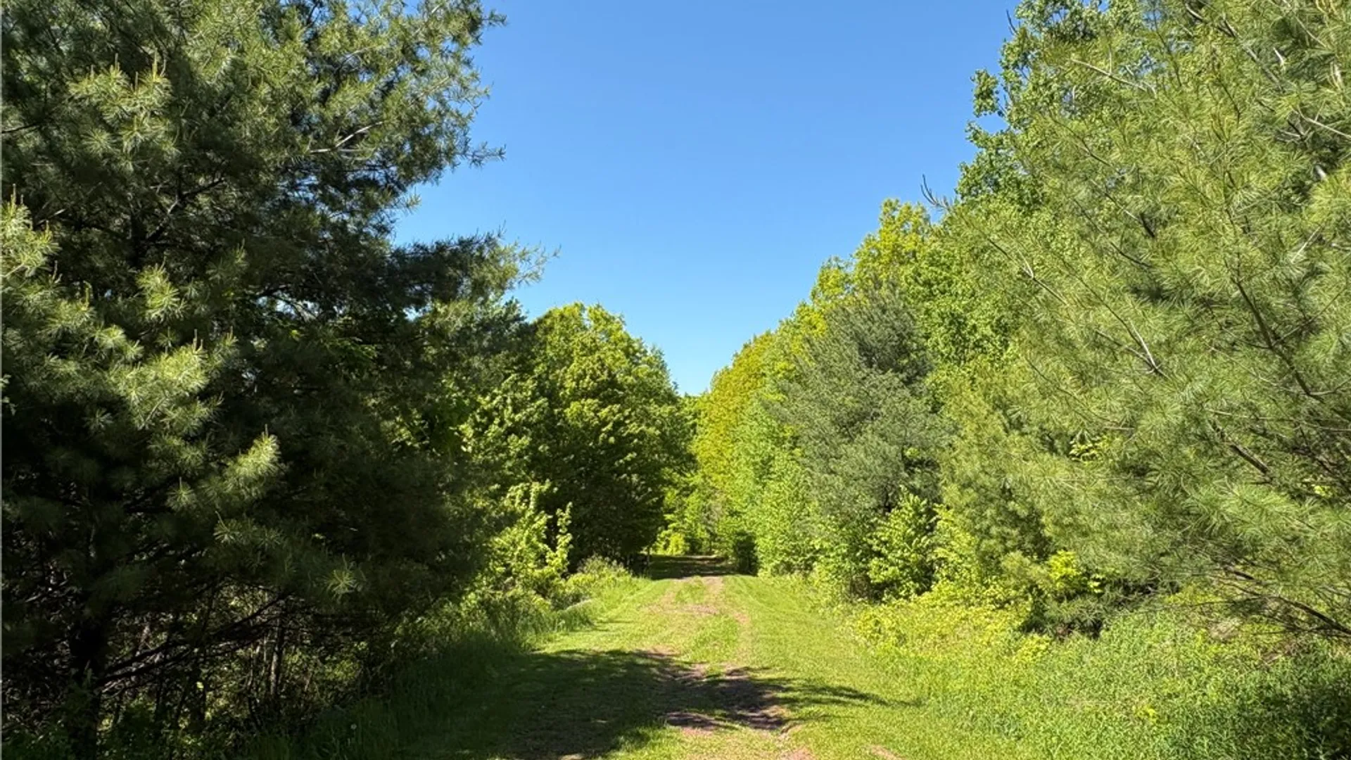Property at 322 West view Drive, Harpersfield, NY 13788 28