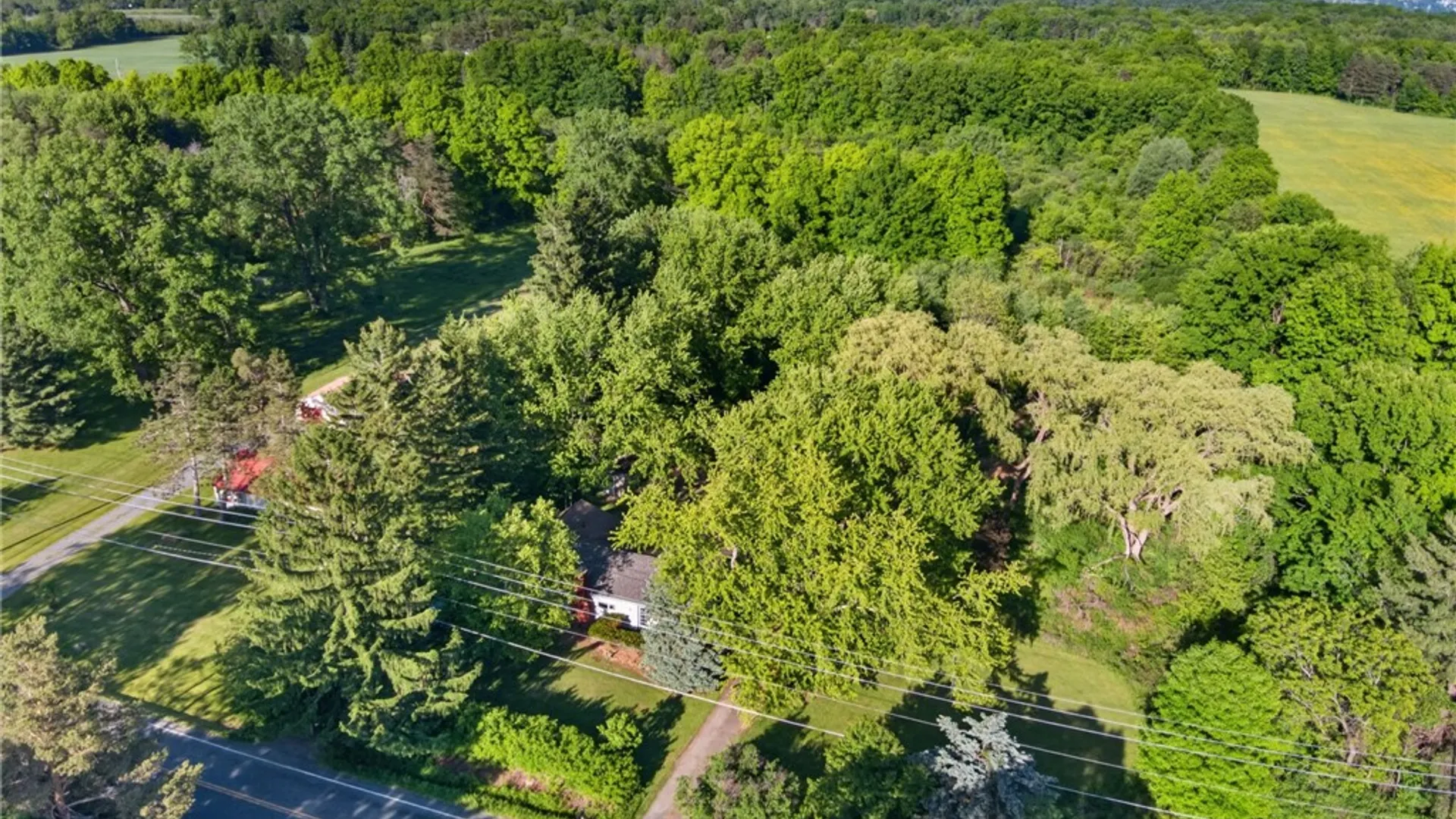 Property at 459 Sheffield Road, Ithaca Town, NY 14850 2
