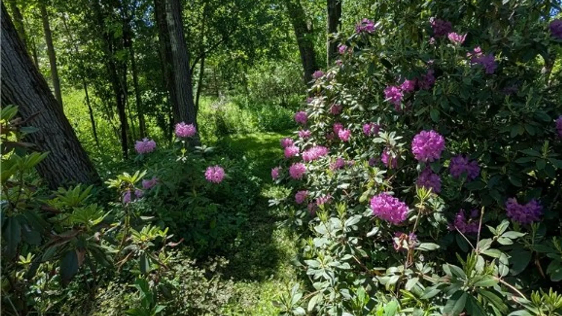 Property at 24 Helens Way, Ithaca Town, NY 14850 40