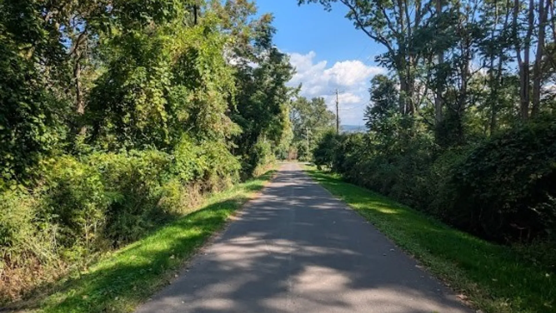 Property at 24 Helens Way, Ithaca Town, NY 14850 47