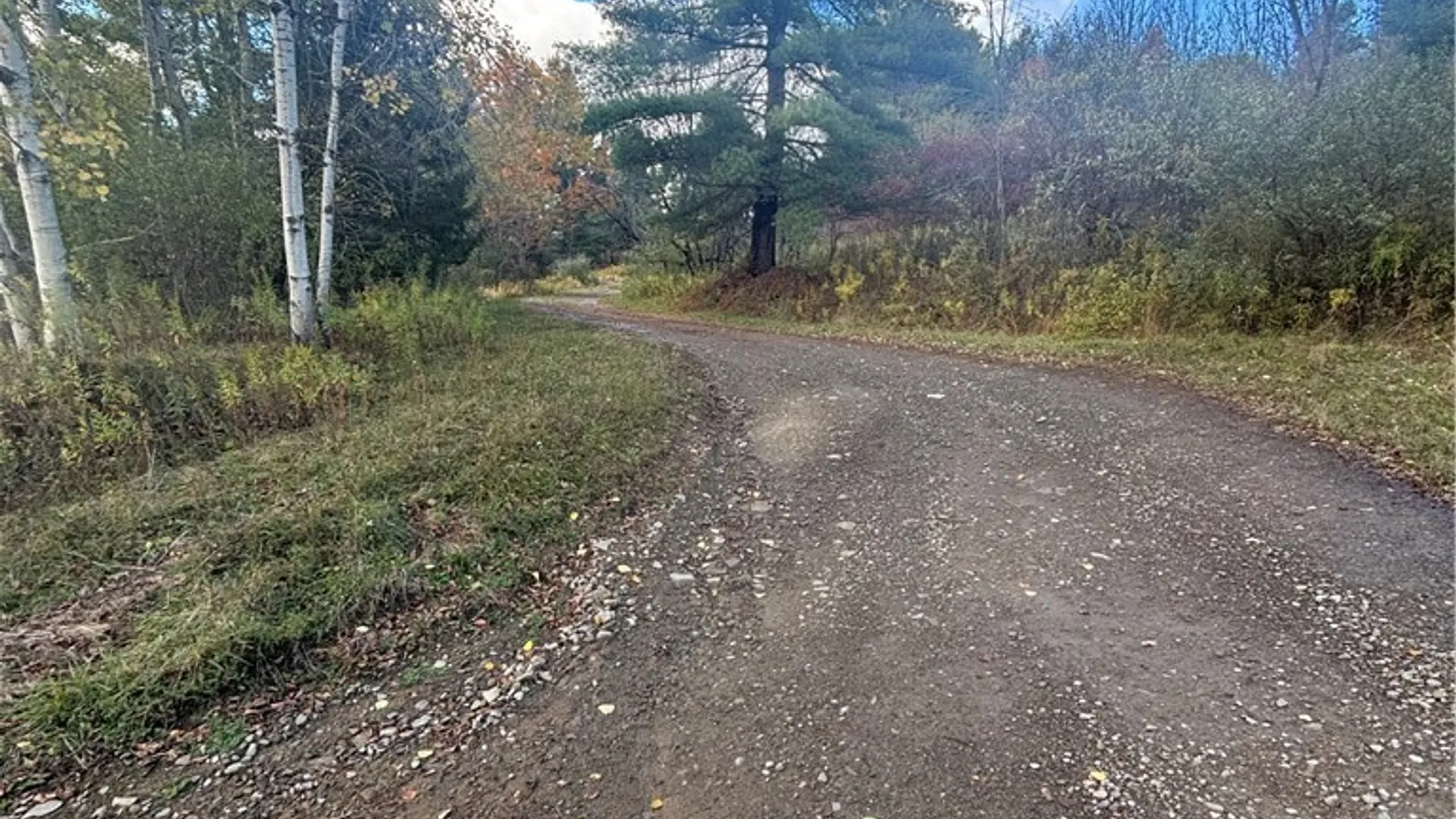 Property at 7316 Shaner Hill Road, Bolivar, NY 14715 21