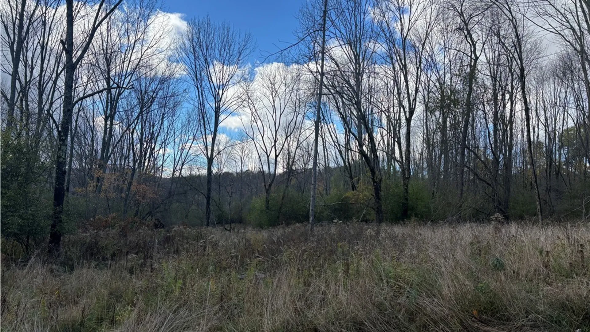 Property at 7316 Shaner Hill Road, Bolivar, NY 14715 25