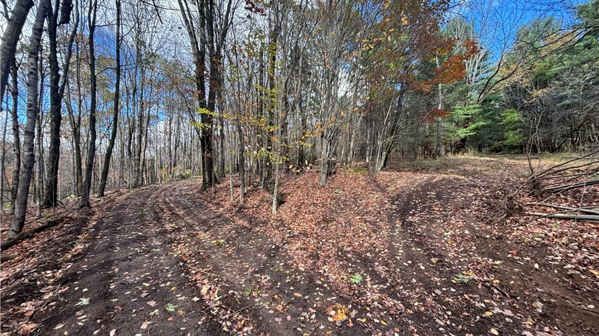 Property at 7316 Shaner Hill Road, Bolivar, NY 14715 26