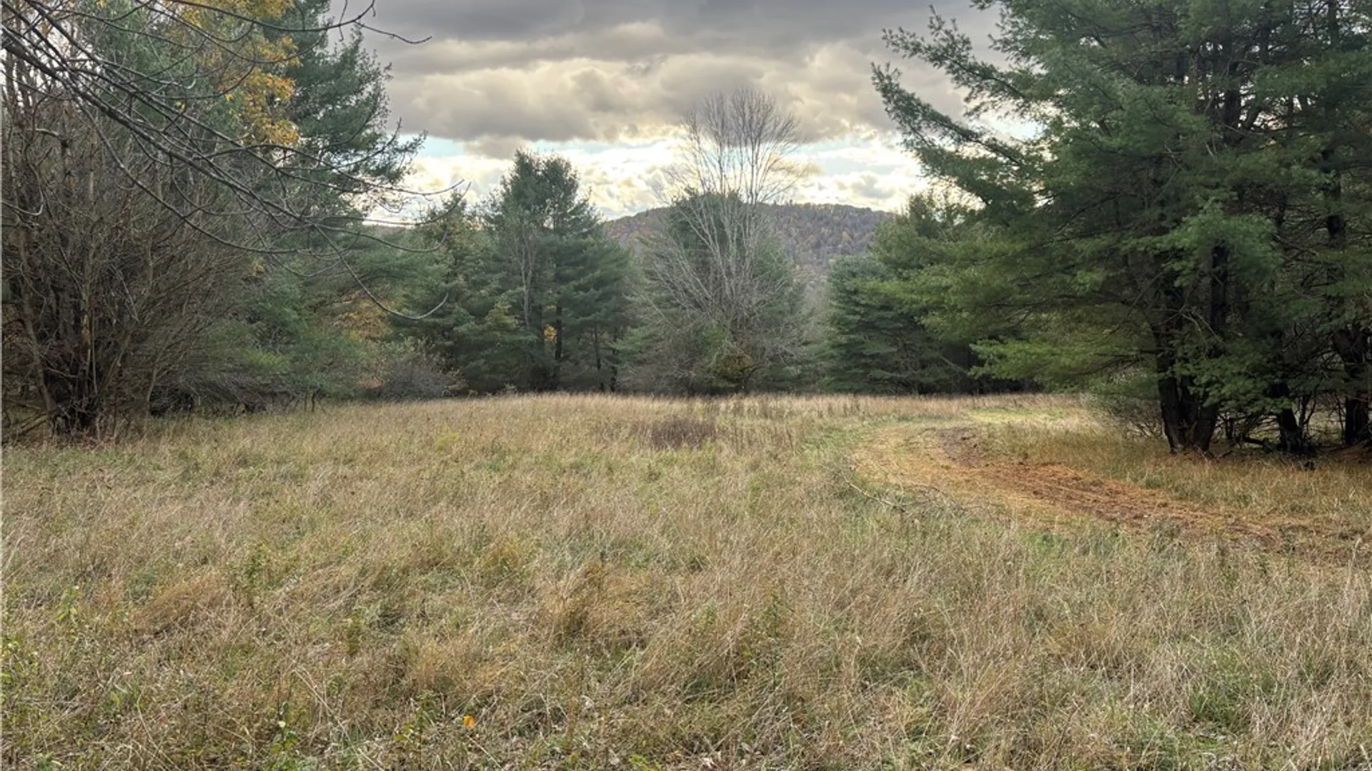 Property at 7316 Shaner Hill Road, Bolivar, NY 14715 27
