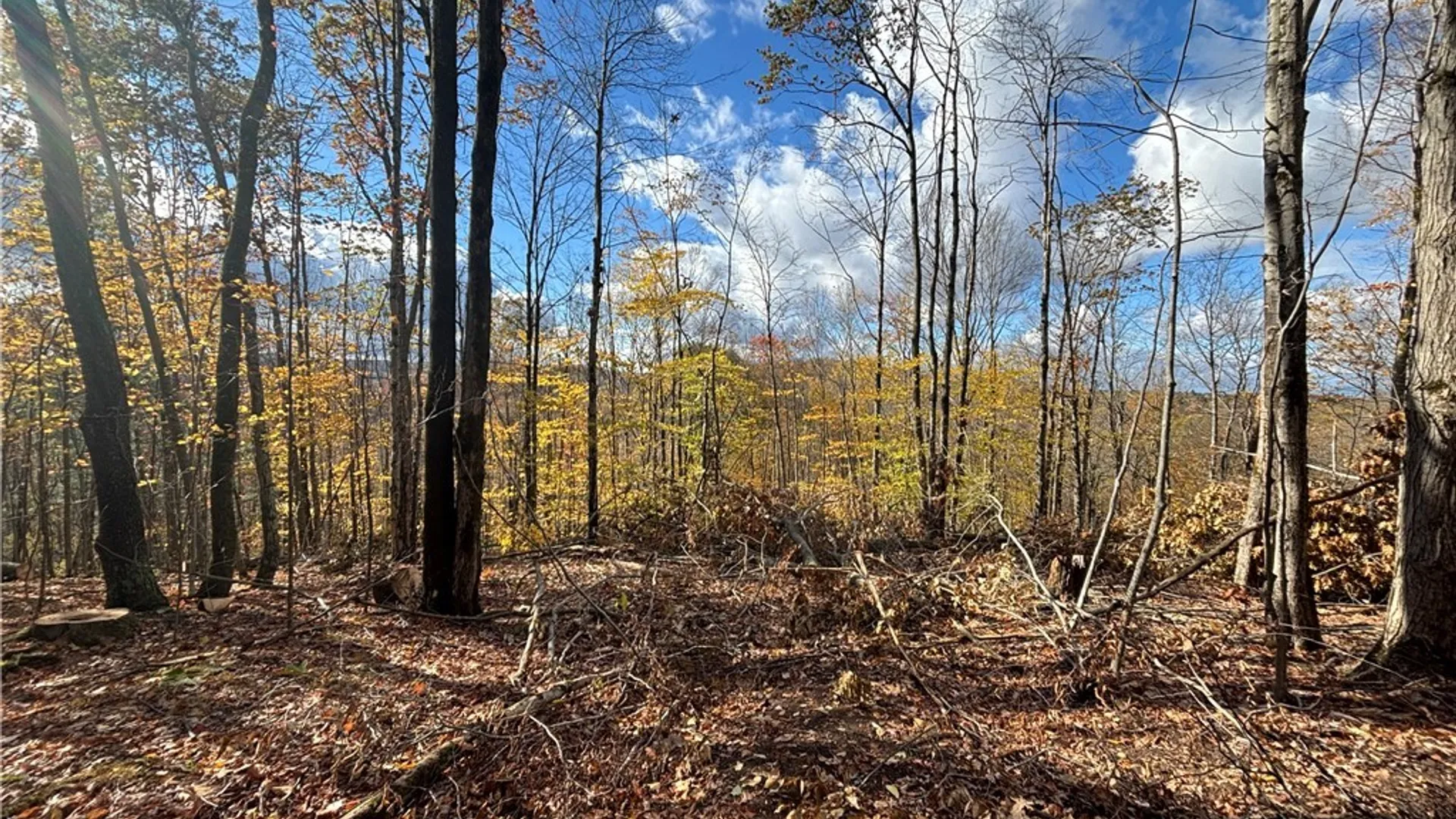 Property at 7316 Shaner Hill Road, Bolivar, NY 14715 28