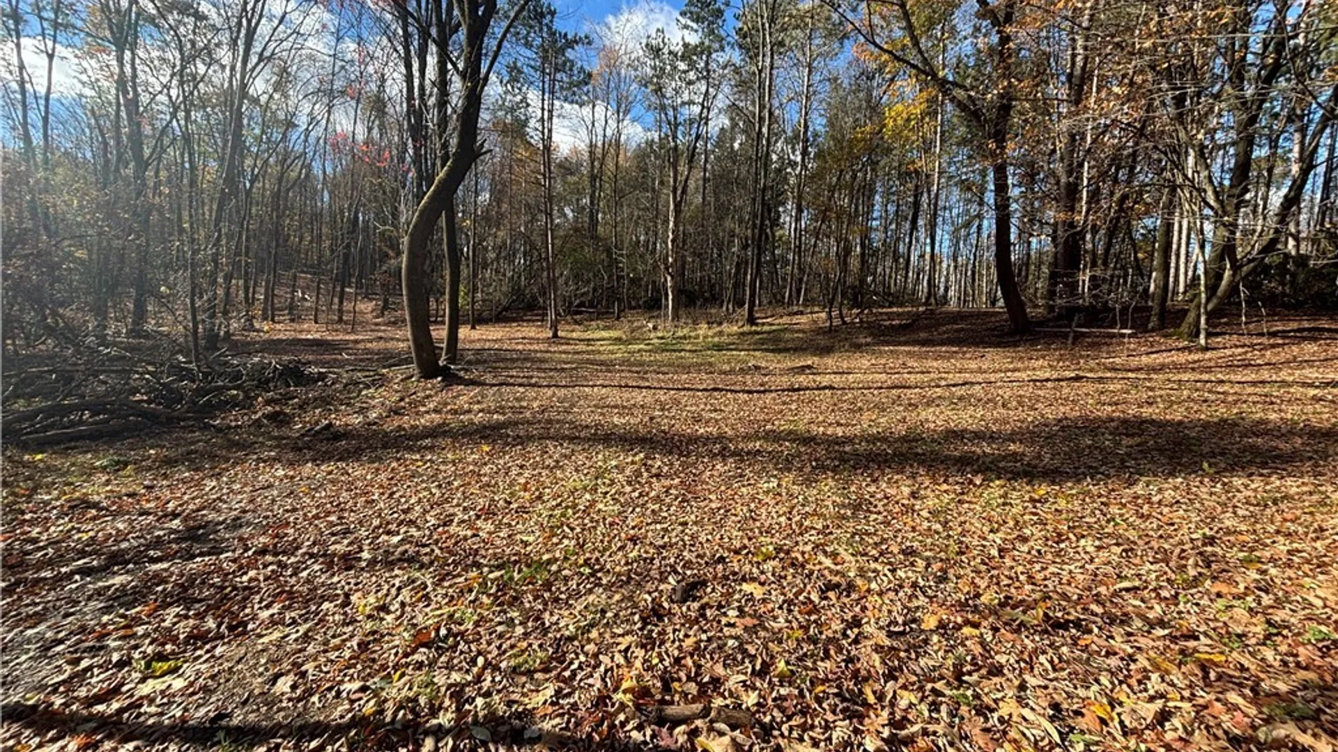 Property at 7316 Shaner Hill Road, Bolivar, NY 14715 32