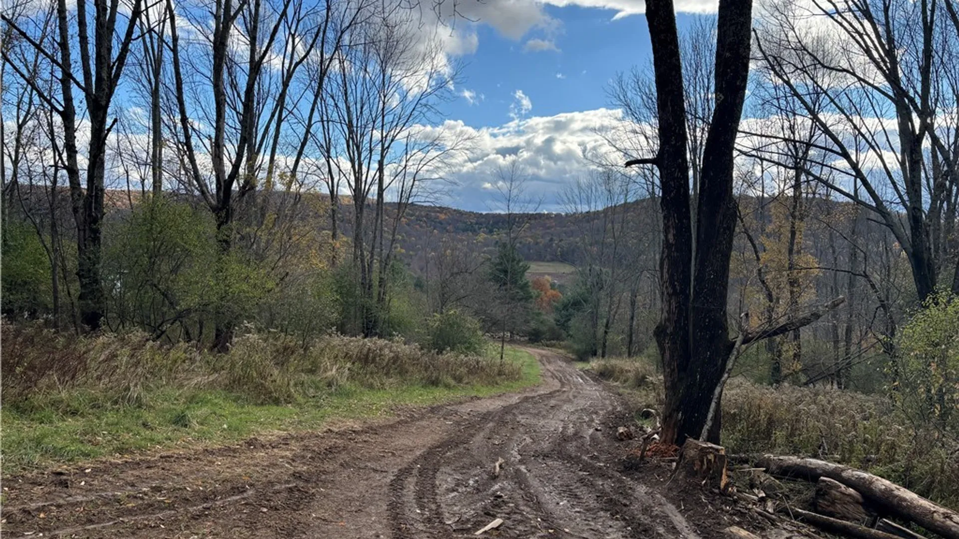Property at 7316 Shaner Hill Road, Bolivar, NY 14715 37
