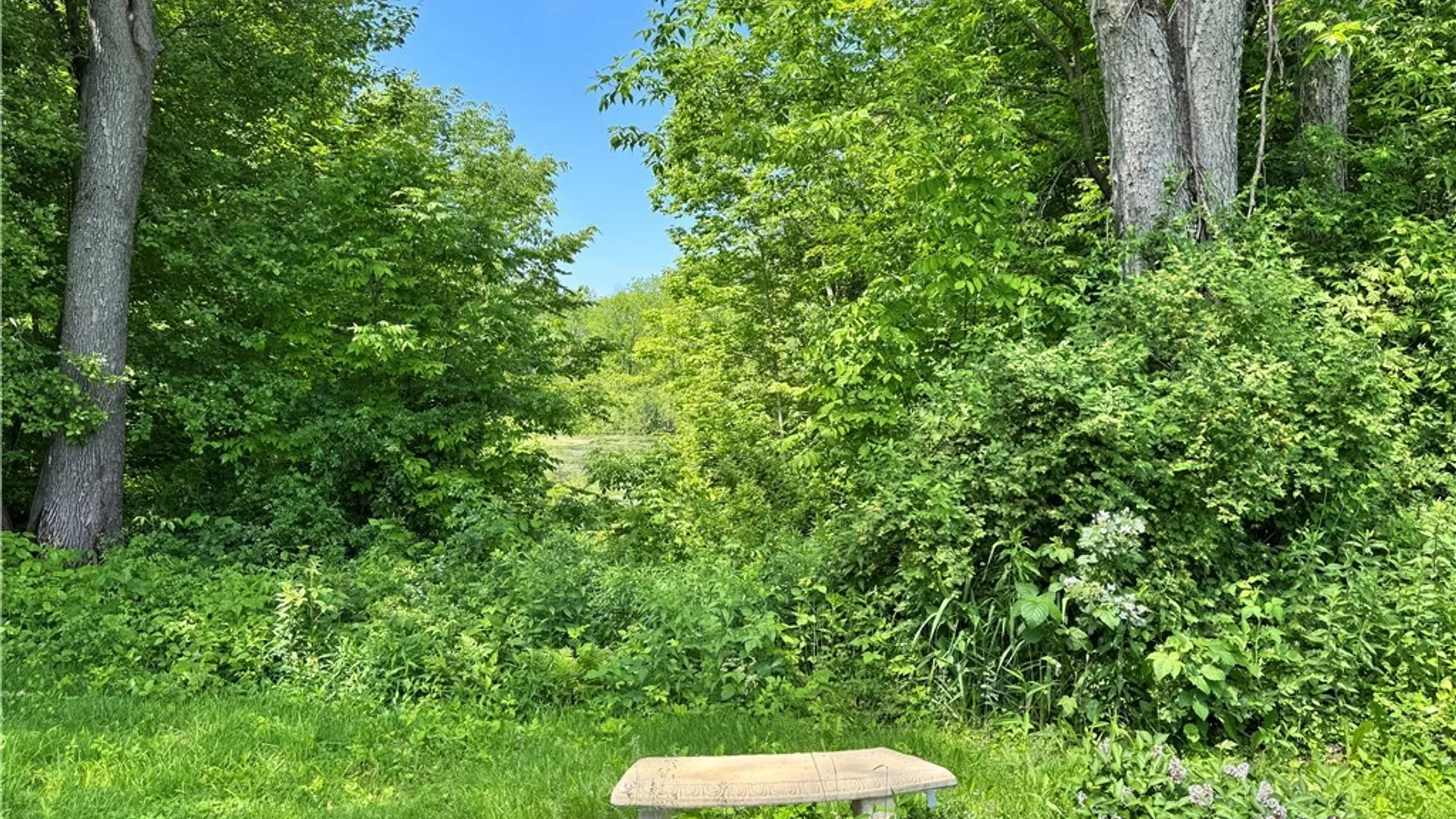 Property at 169 County Route 41a, Richland, NY 13142 32