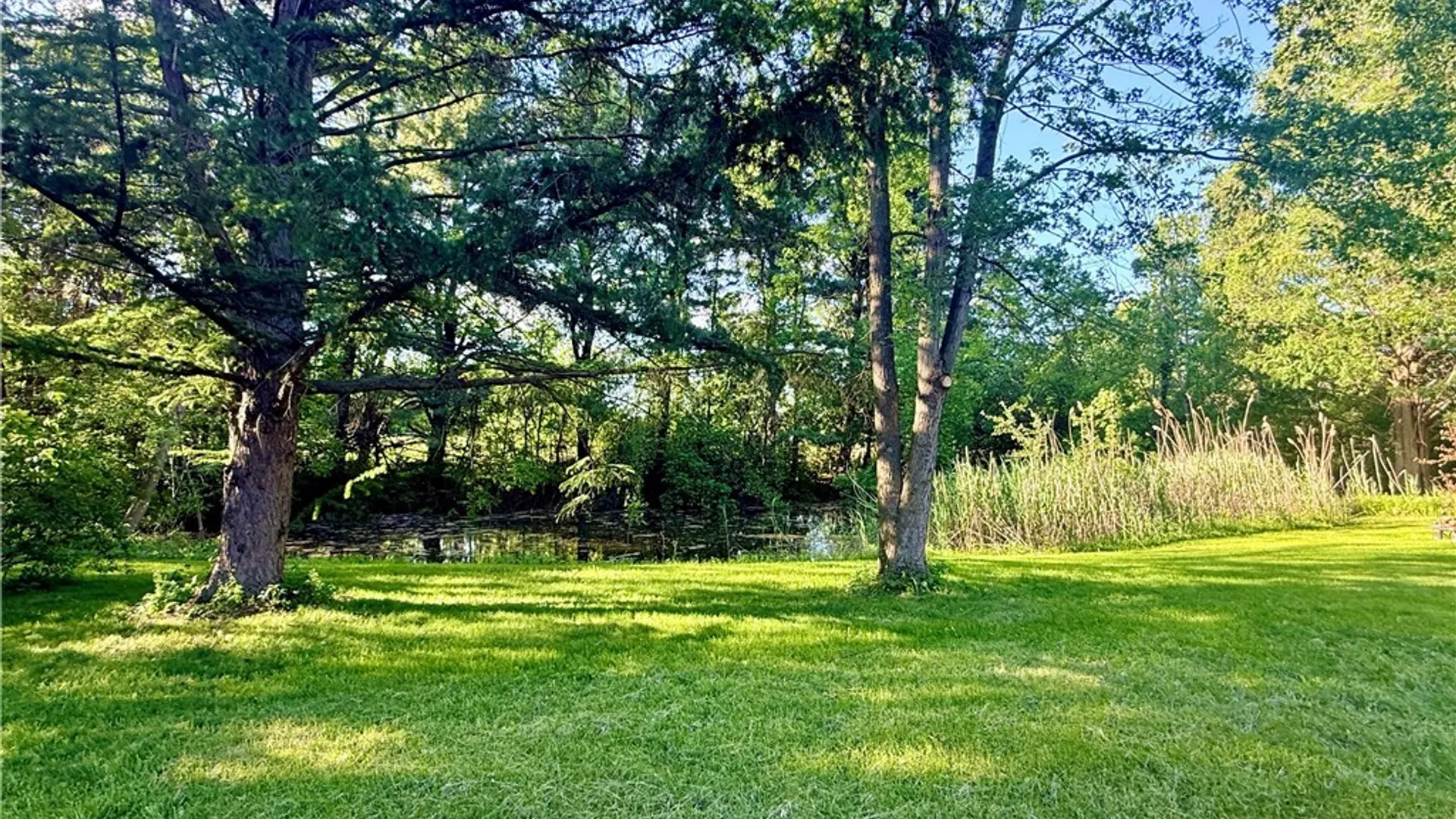 Property at 5313 Watson Road, Elba, NY 14058 2