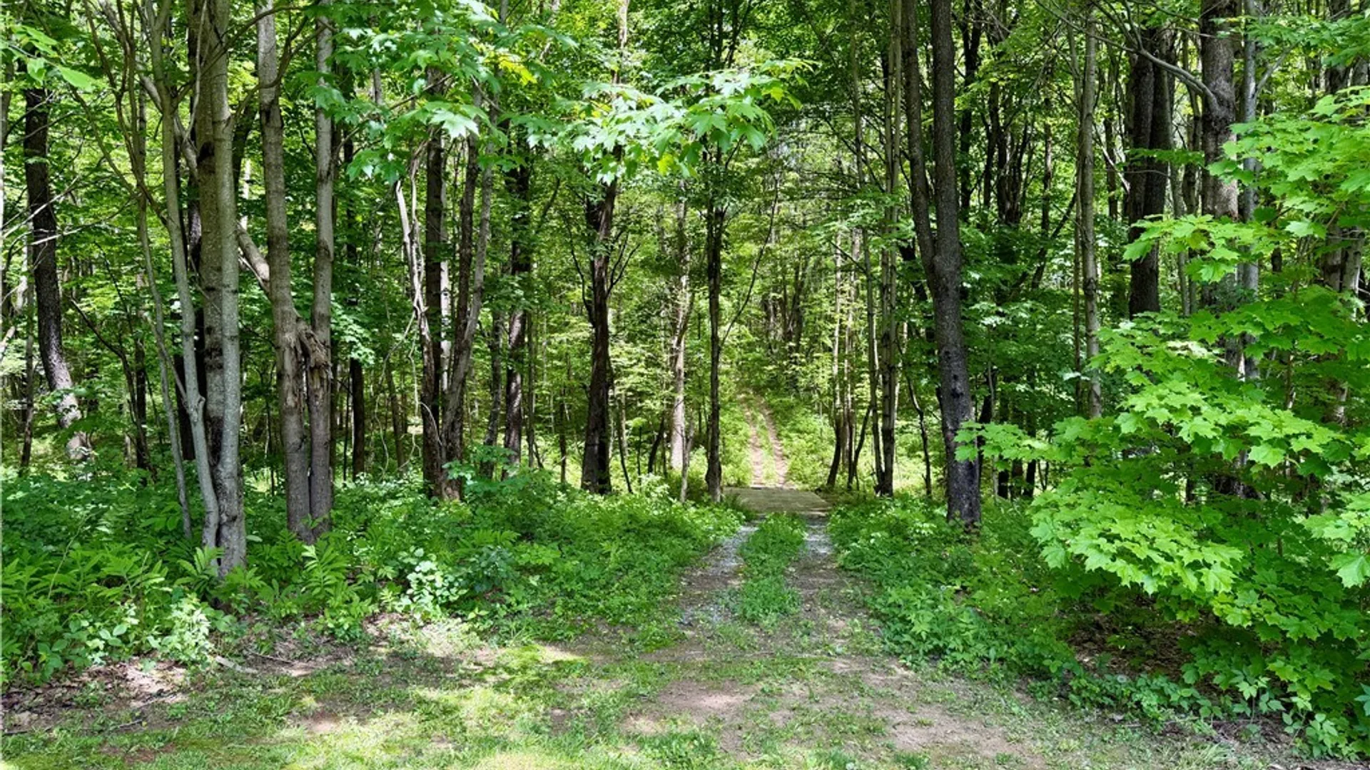 Property at 6229 Iseneker Road, Leyden, NY 13309 27