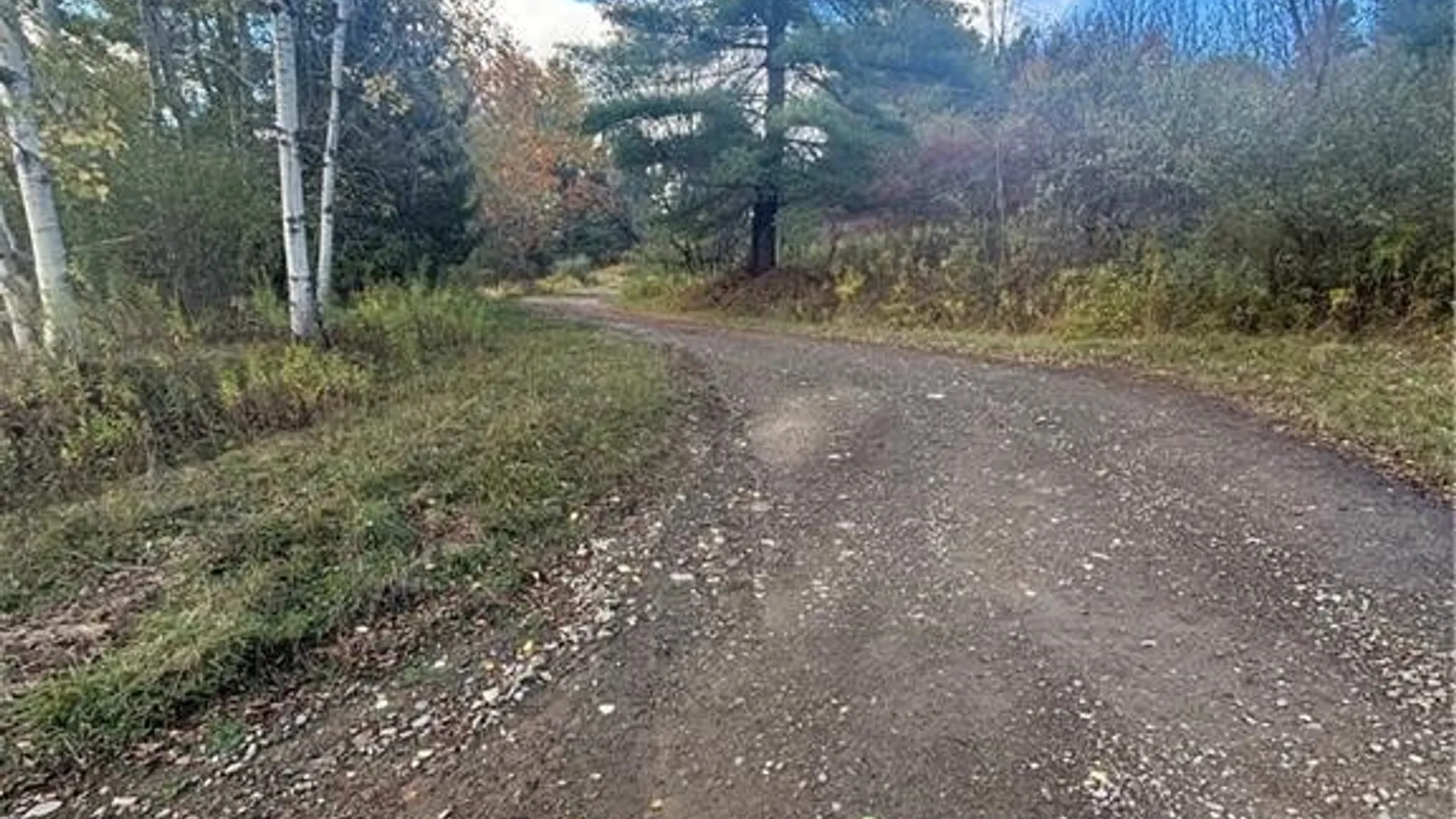 Property at 7316 Shaner Hill Road, Bolivar, NY 14715 23