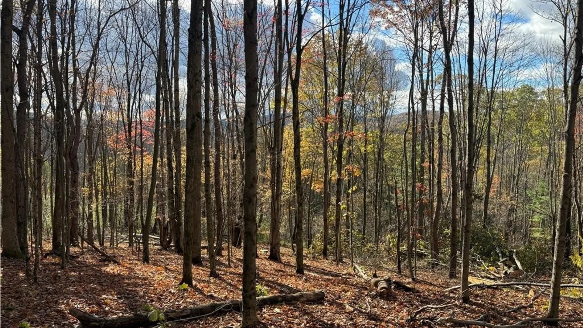 Property at 7316 Shaner Hill Road, Bolivar, NY 14715 29