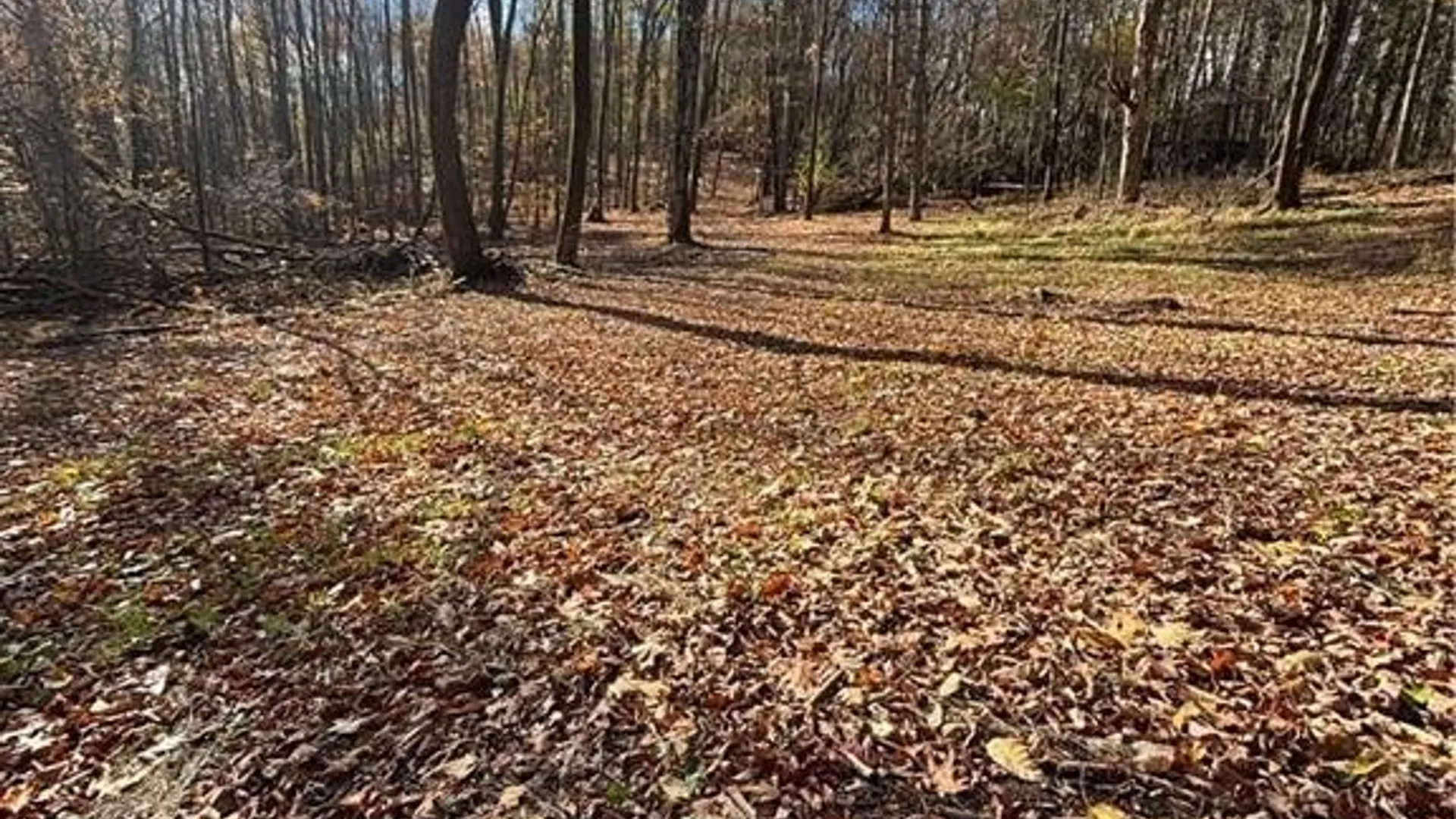 Property at 7316 Shaner Hill Road, Bolivar, NY 14715 33