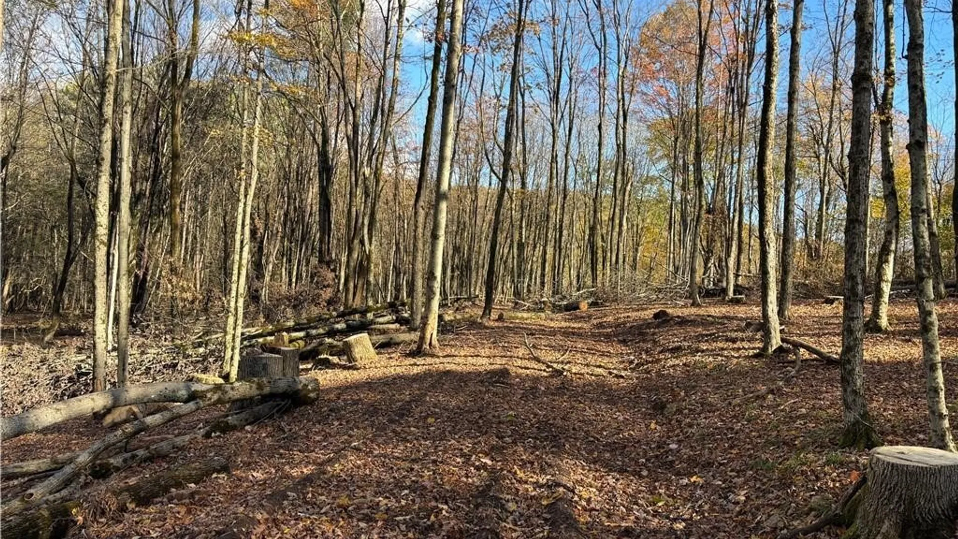 Property at 7316 Shaner Hill Road, Bolivar, NY 14715 36