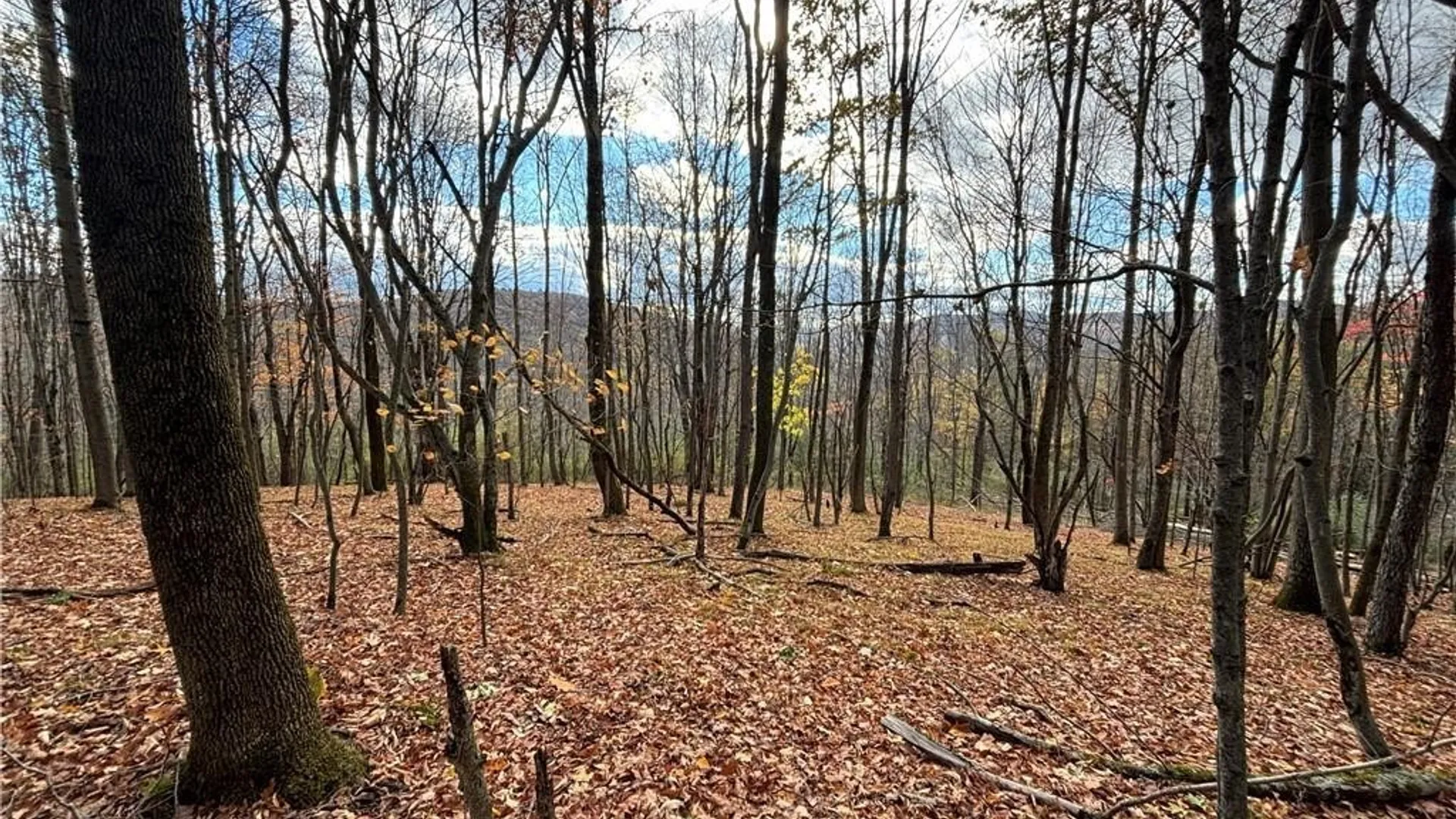 Property at 7316 Shaner Hill Road, Bolivar, NY 14715 38
