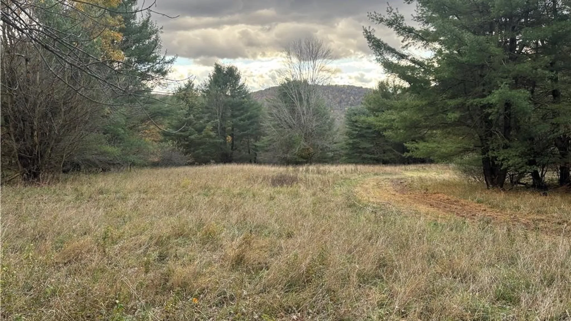 Property at 7316 Shaner Hill Road, Bolivar, NY 14715 5