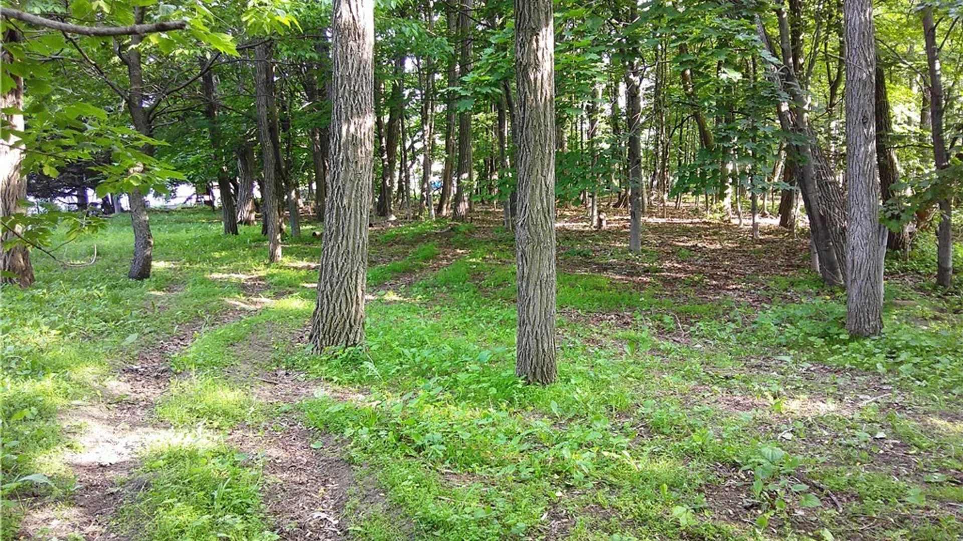 Property at 17991 NY State Route 177, Adams, NY 13606 48