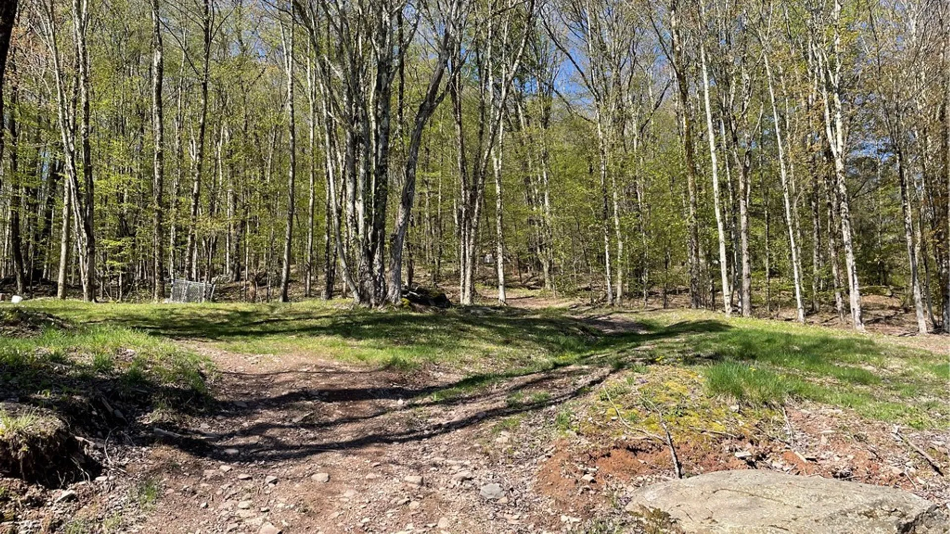 Property at 157 Wolfs Lair, Hamden, NY 13782 29