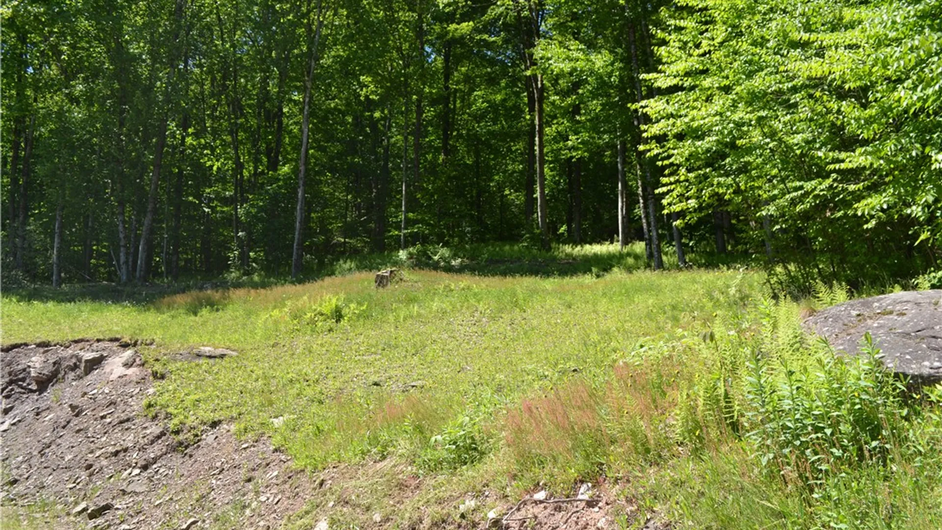 Property at 157 Wolfs Lair, Hamden, NY 13782 31