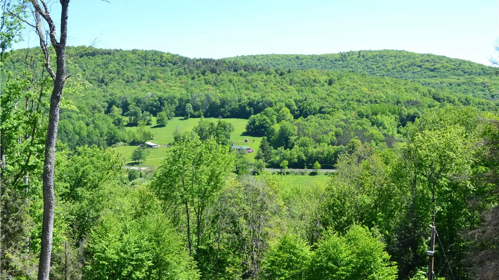 Property at 157 Wolfs Lair, Hamden, NY 13782 6