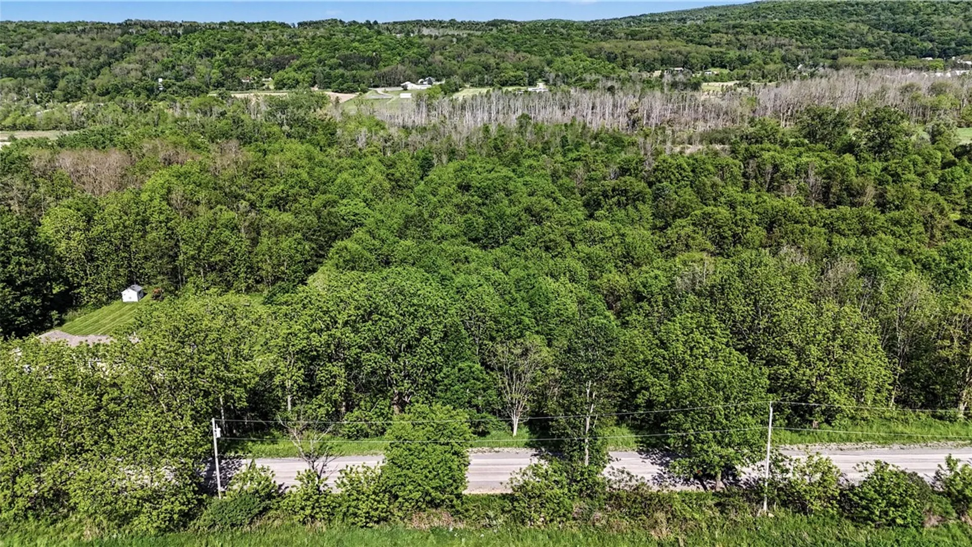 Property at Case Road, Bristol, NY 14424 4