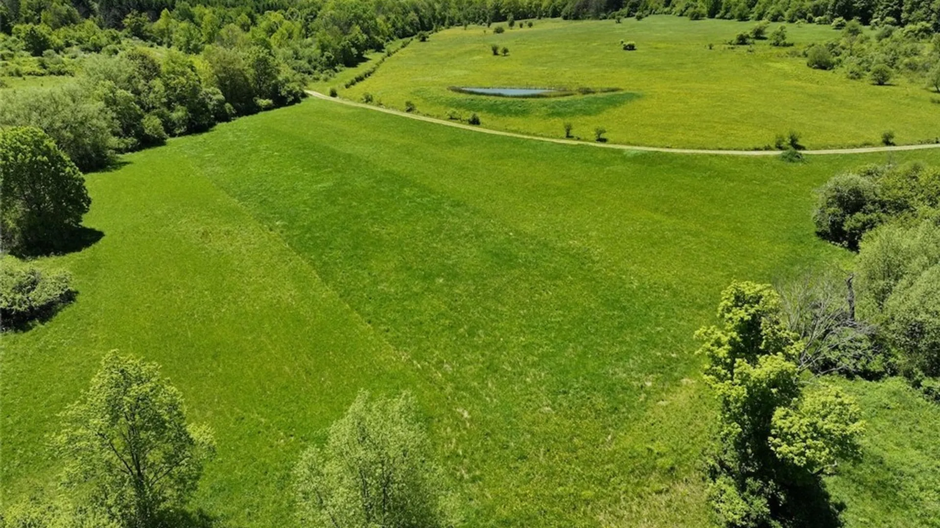 Property at N Branch Road, Friendship, NY 14739 10