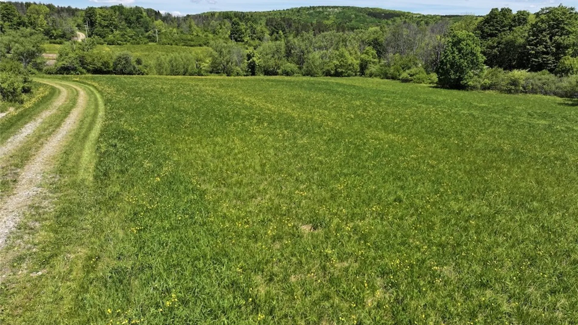 Property at N Branch Road, Friendship, NY 14739 11