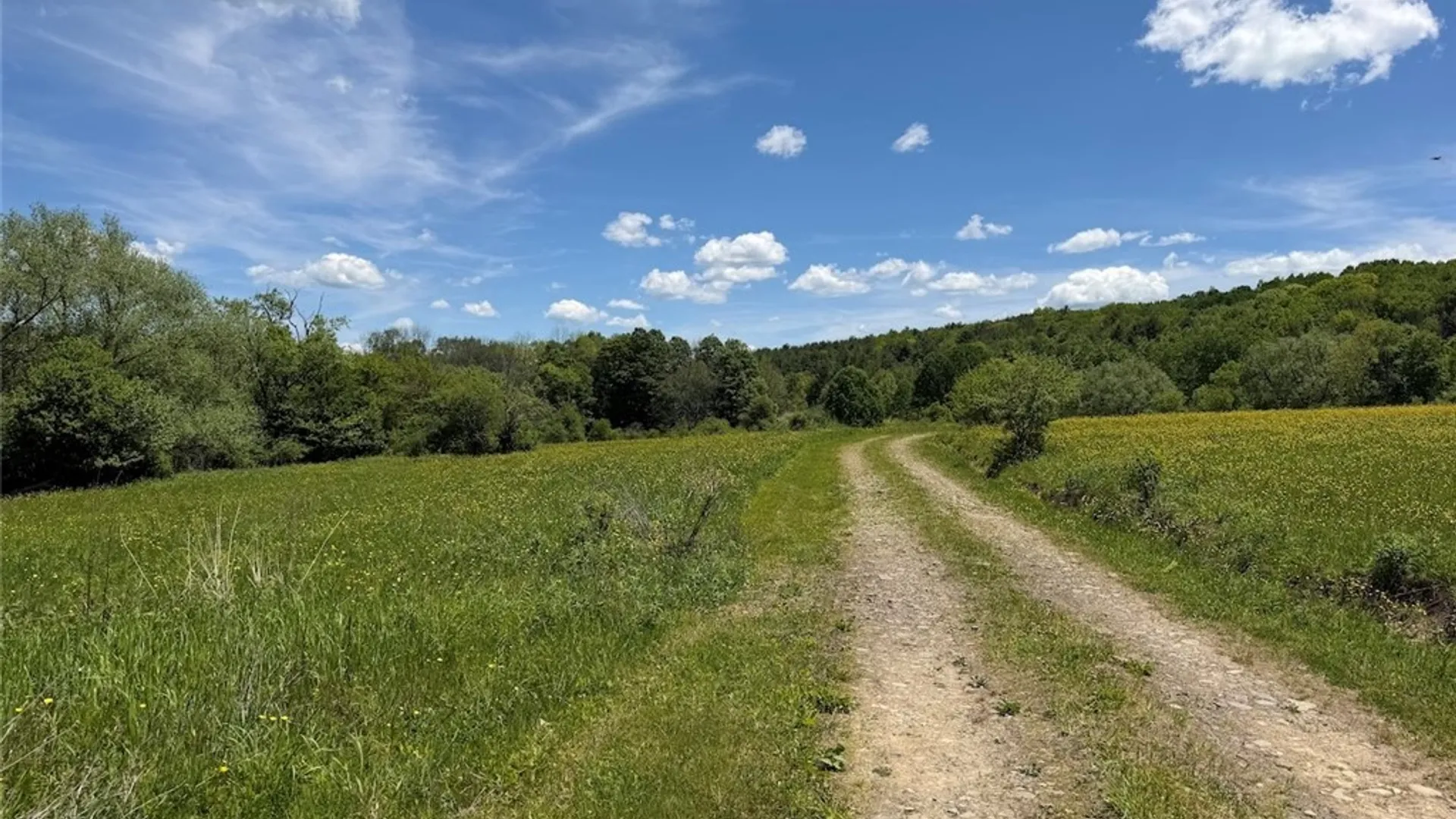 Property at N Branch Road, Friendship, NY 14739 16