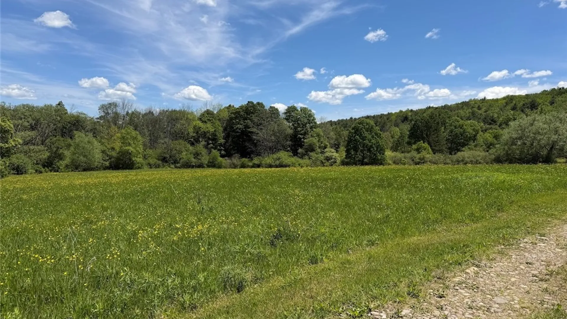 Property at N Branch Road, Friendship, NY 14739 17