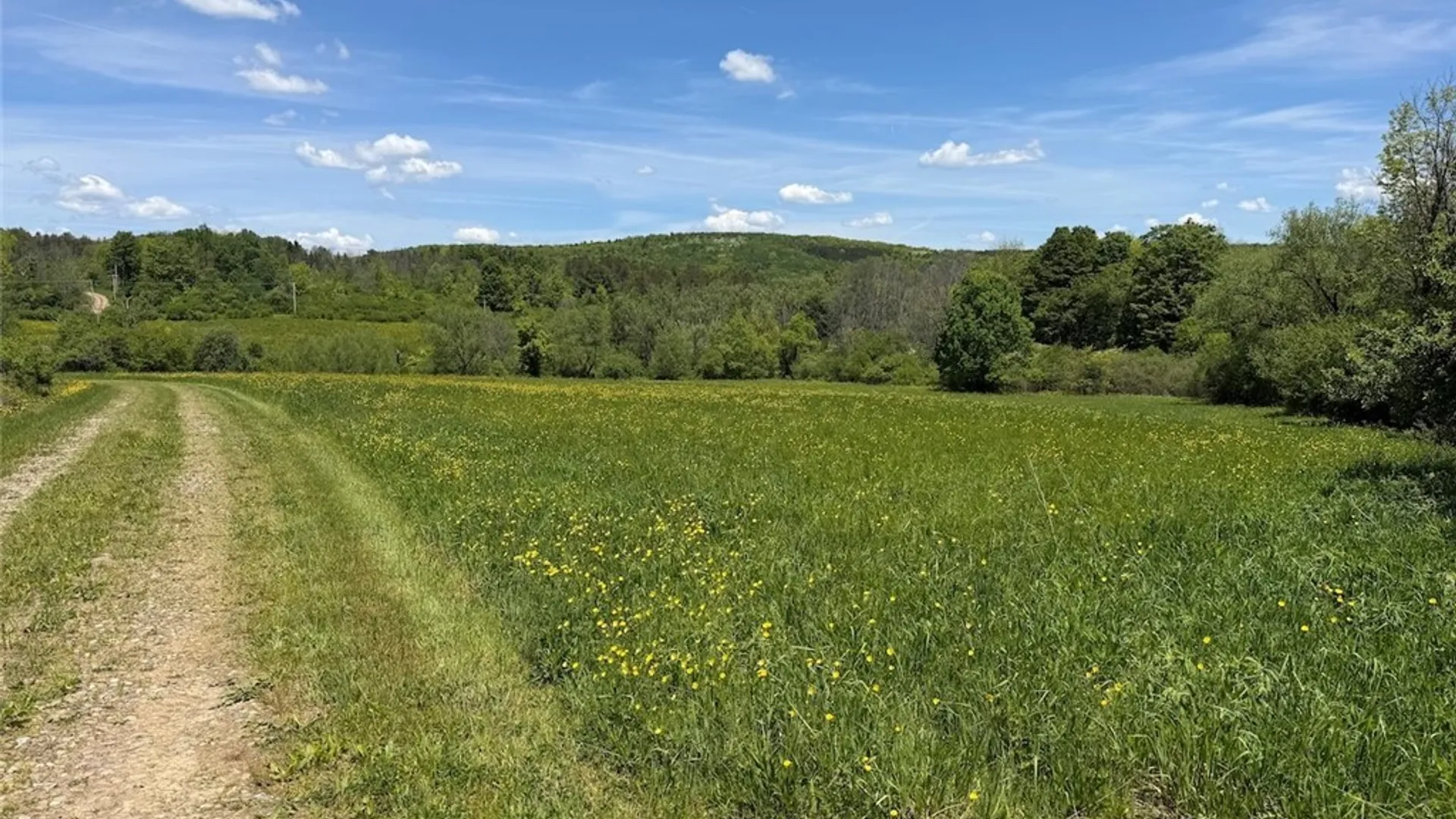 Property at N Branch Road, Friendship, NY 14739 18