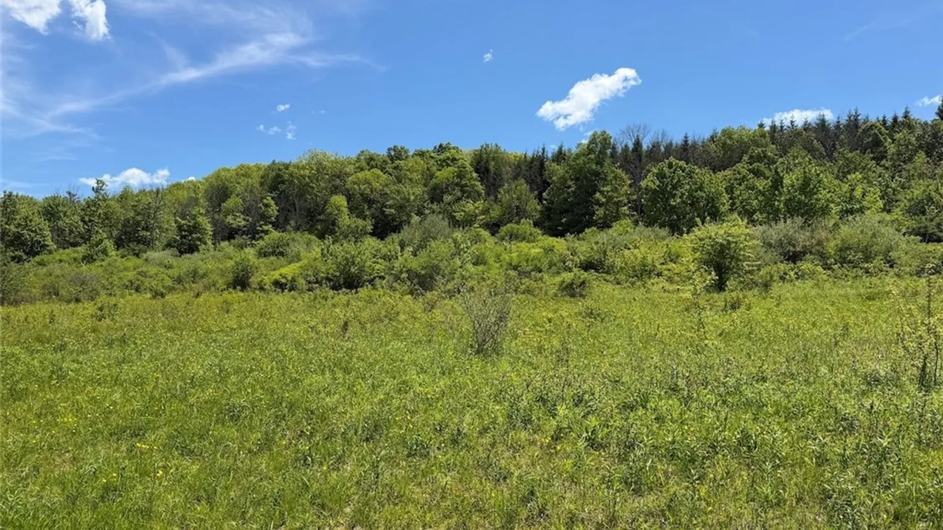 Property at N Branch Road, Friendship, NY 14739 20