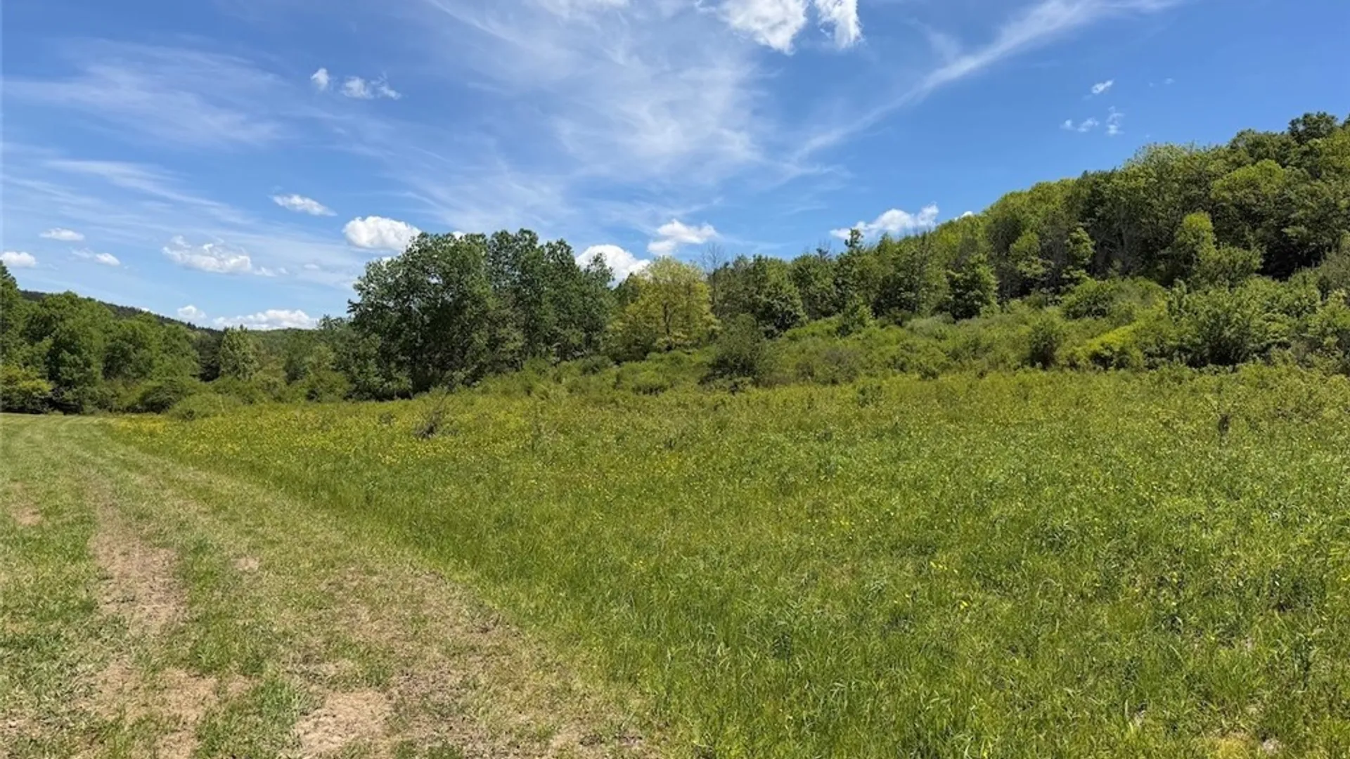 Property at N Branch Road, Friendship, NY 14739 21