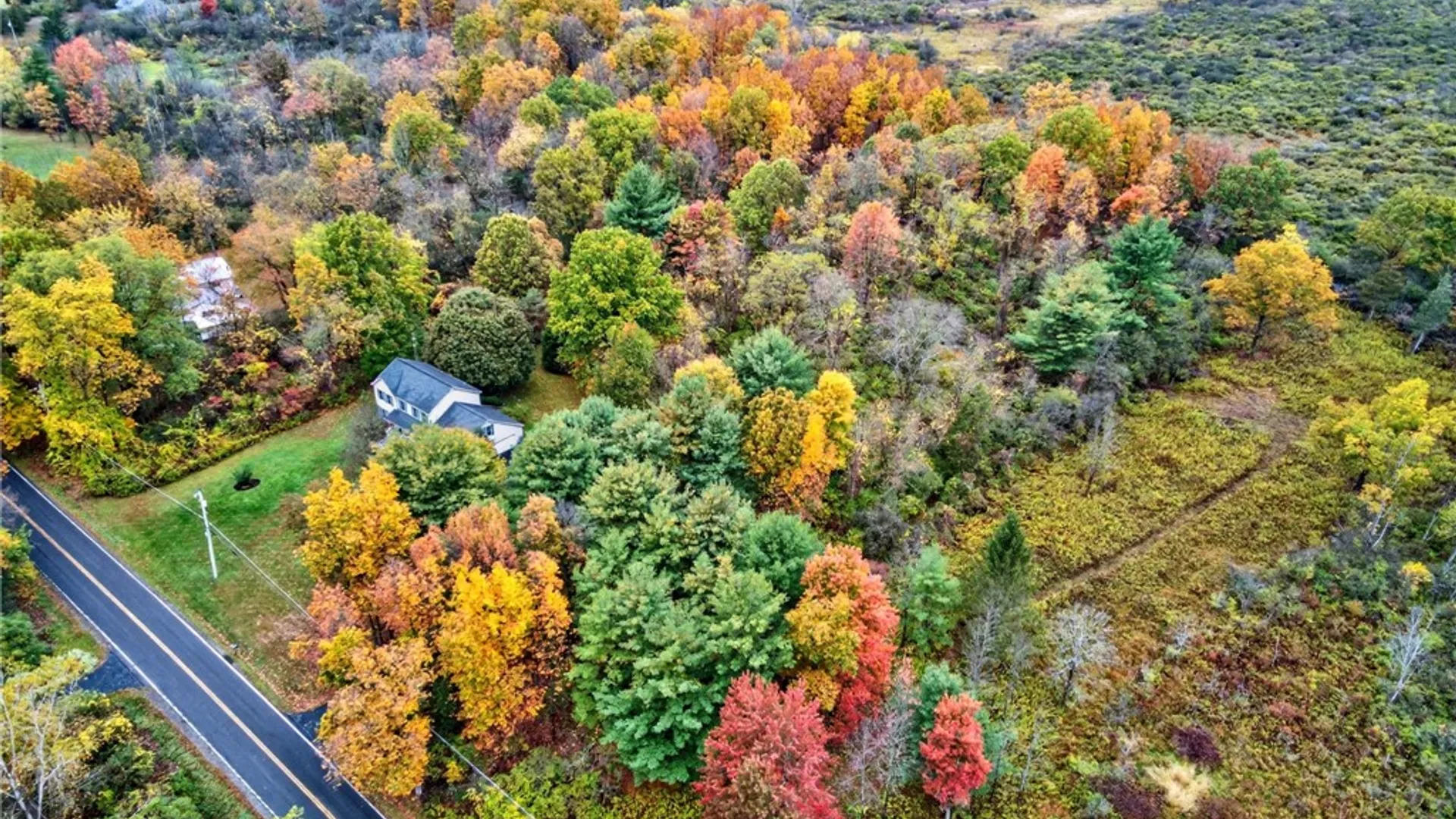 Property at 68 Cherry Road, Lansing, NY 14850 43