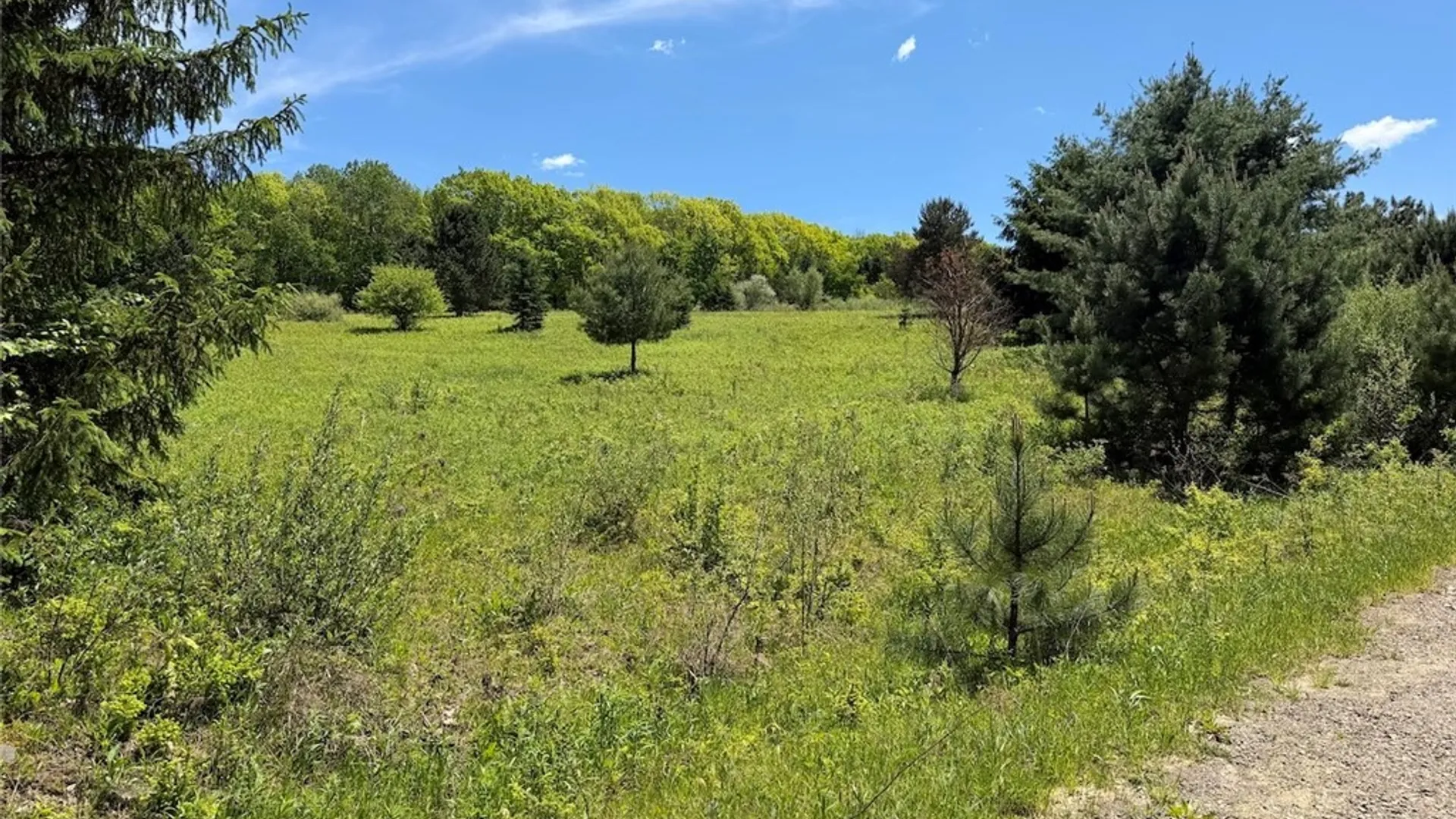 Property at N Branch Road, Friendship, NY 14739 10
