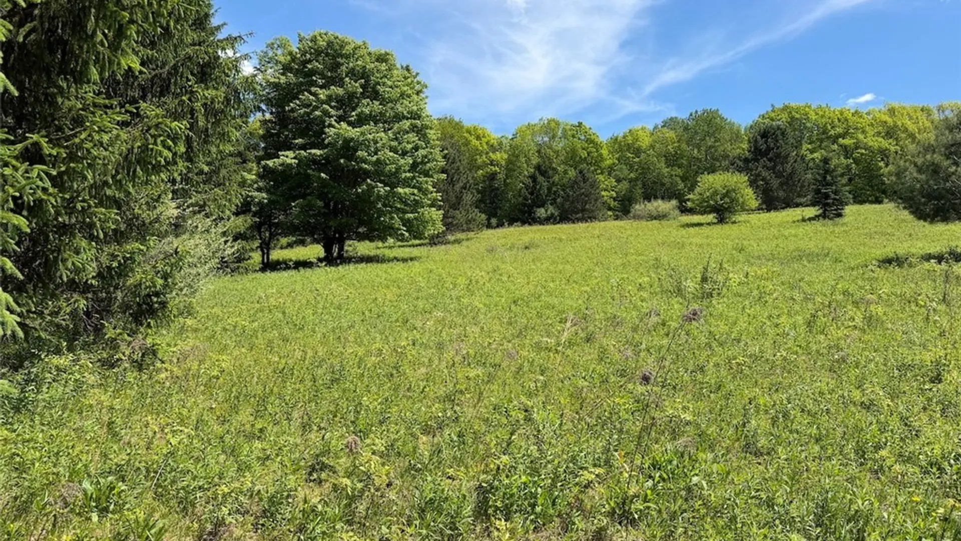 Property at N Branch Road, Friendship, NY 14739 11