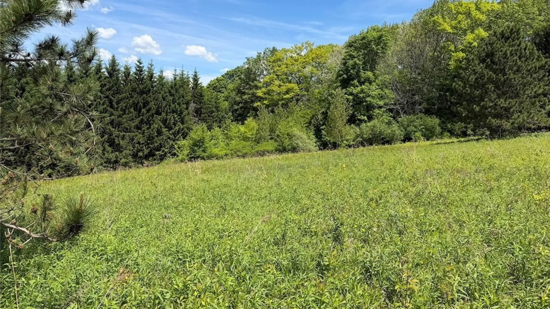 Property at N Branch Road, Friendship, NY 14739 13